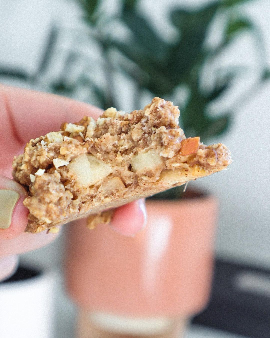 Oatmeal Apple Walnut Cookies