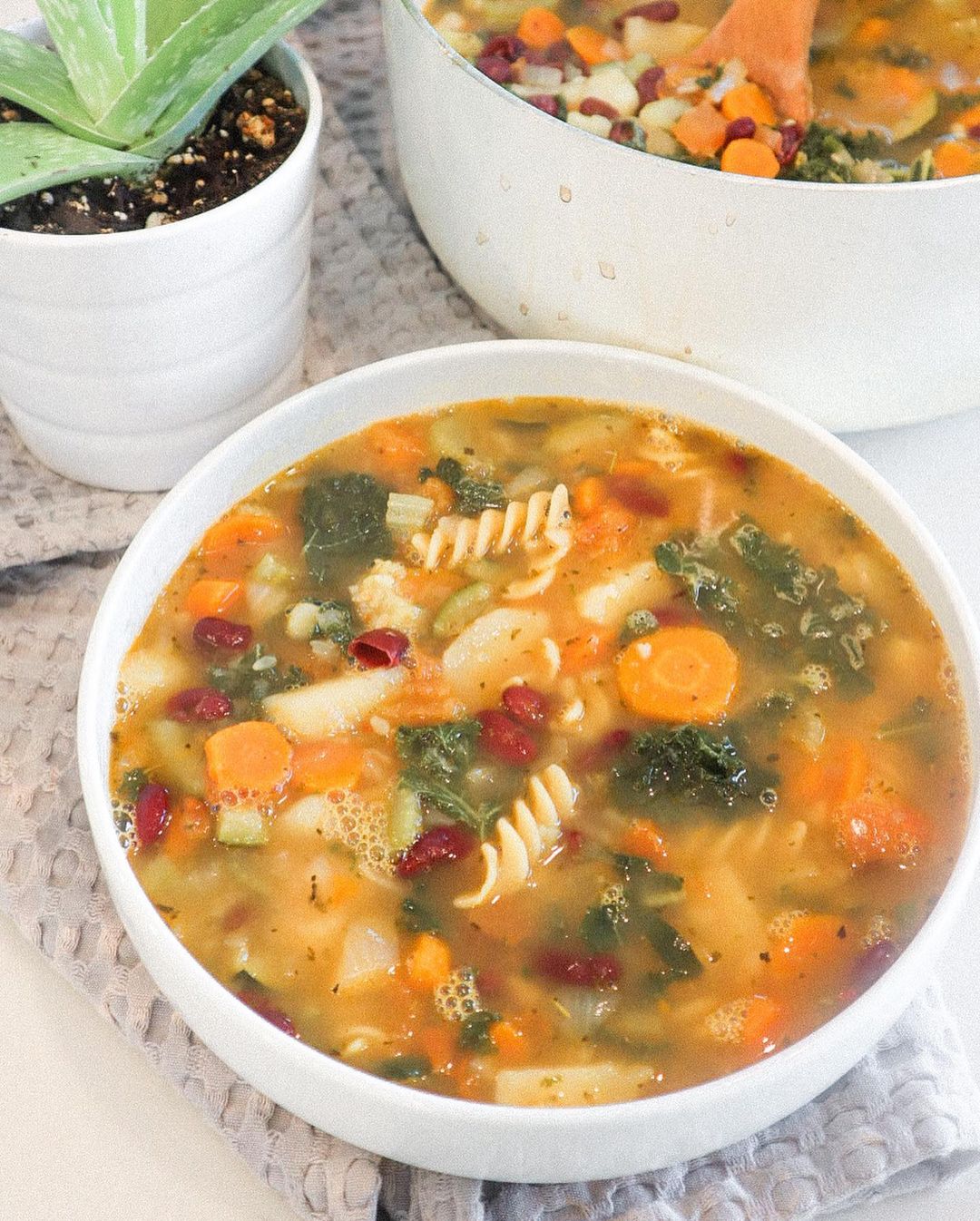 Loaded Veggie Soup