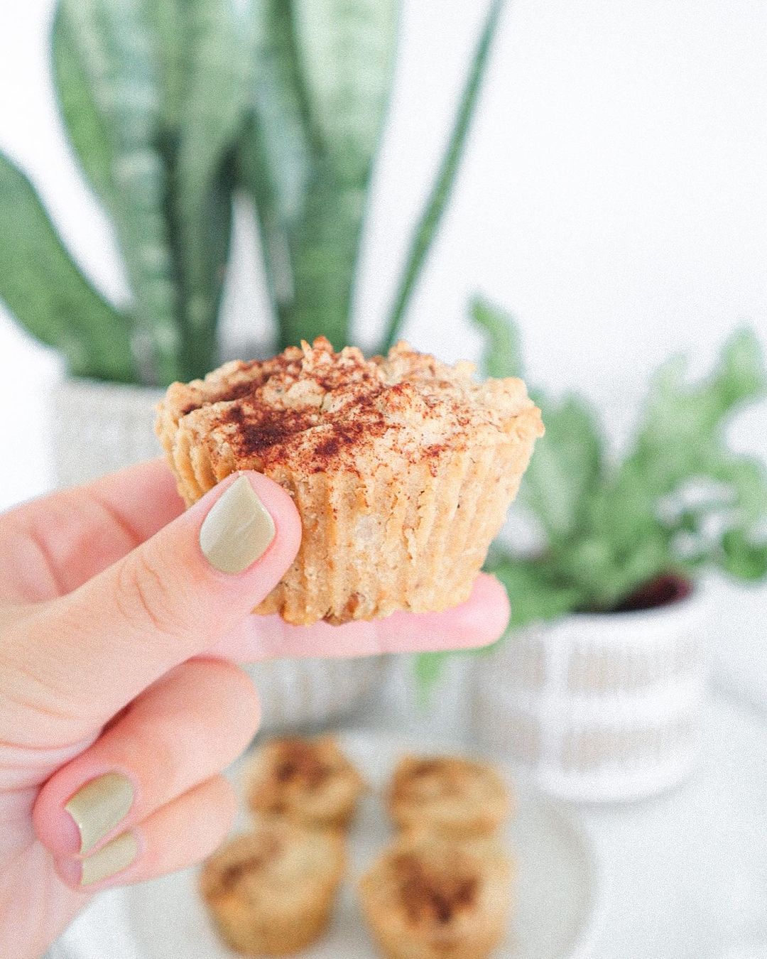 Coconut Cinnamon Walnut Muffins