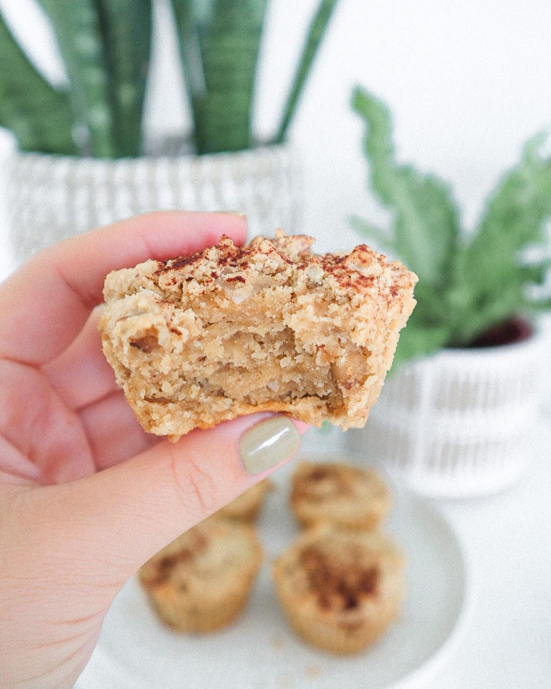 Coconut Cinnamon Walnut Muffins