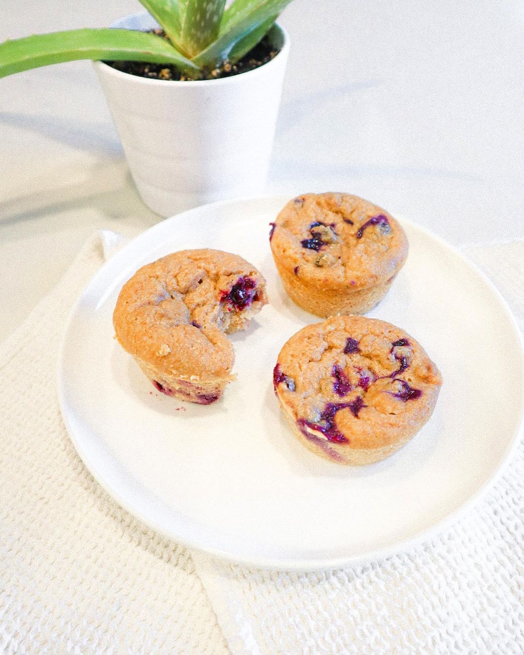 Healthy Easy Lemon Blueberry Muffins!