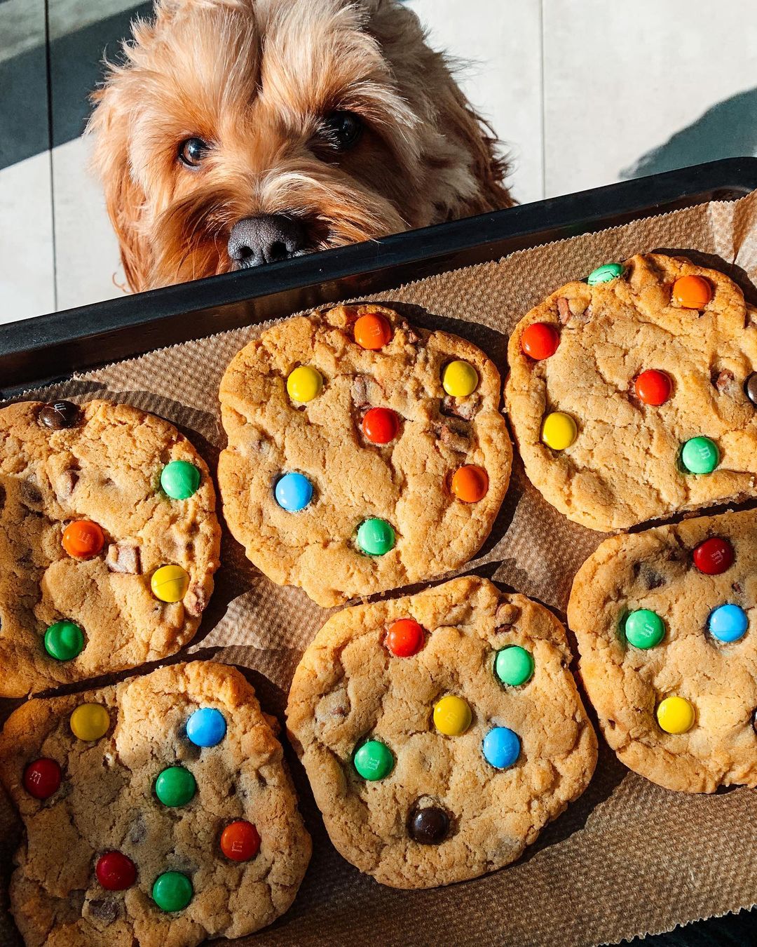 Rainbow Cookies