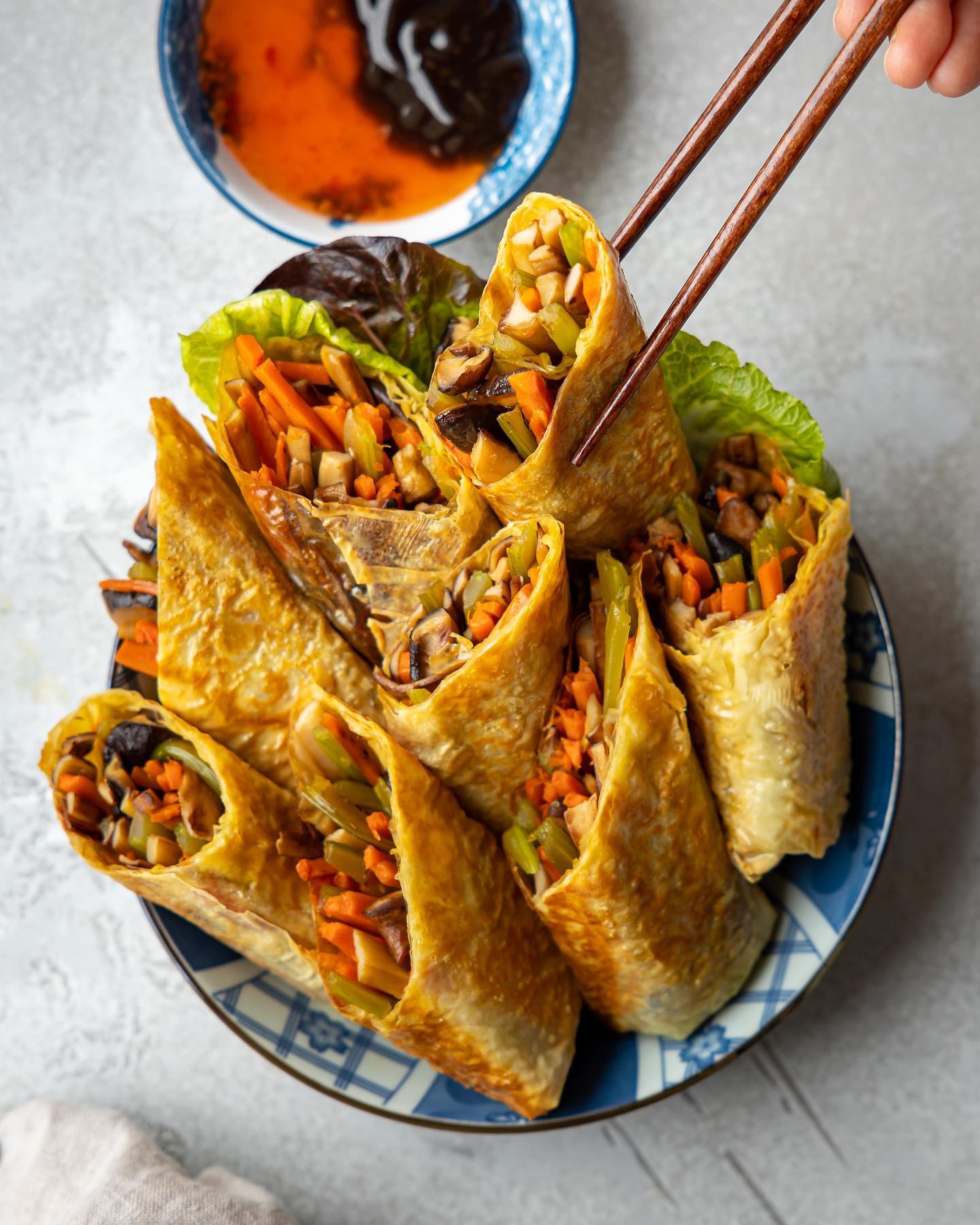 Crispy Dumpling Rolls with Tofu Skin