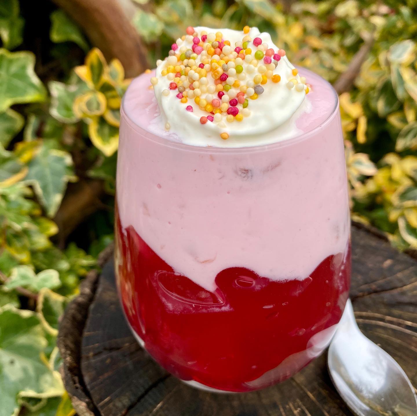 Raspberry Yogurt Trifle for One