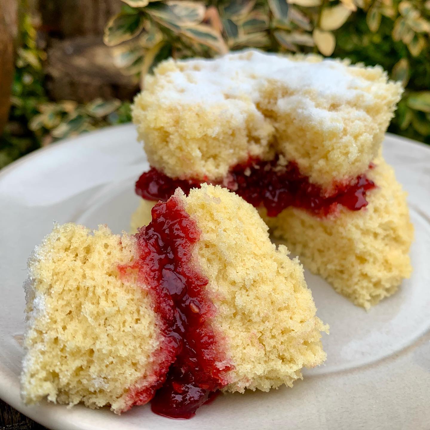 2-Minute Microwave Victoria Sandwich