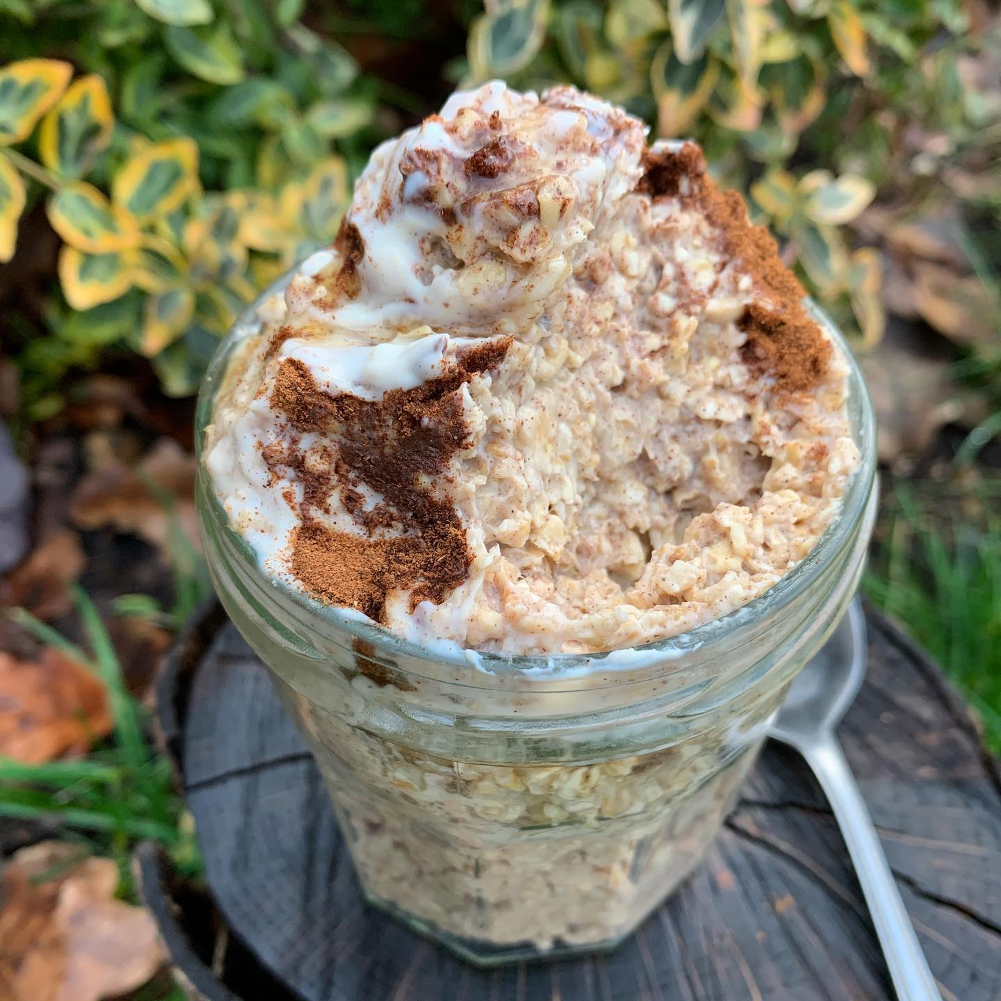 Cinnamon Roll Overnight Oats