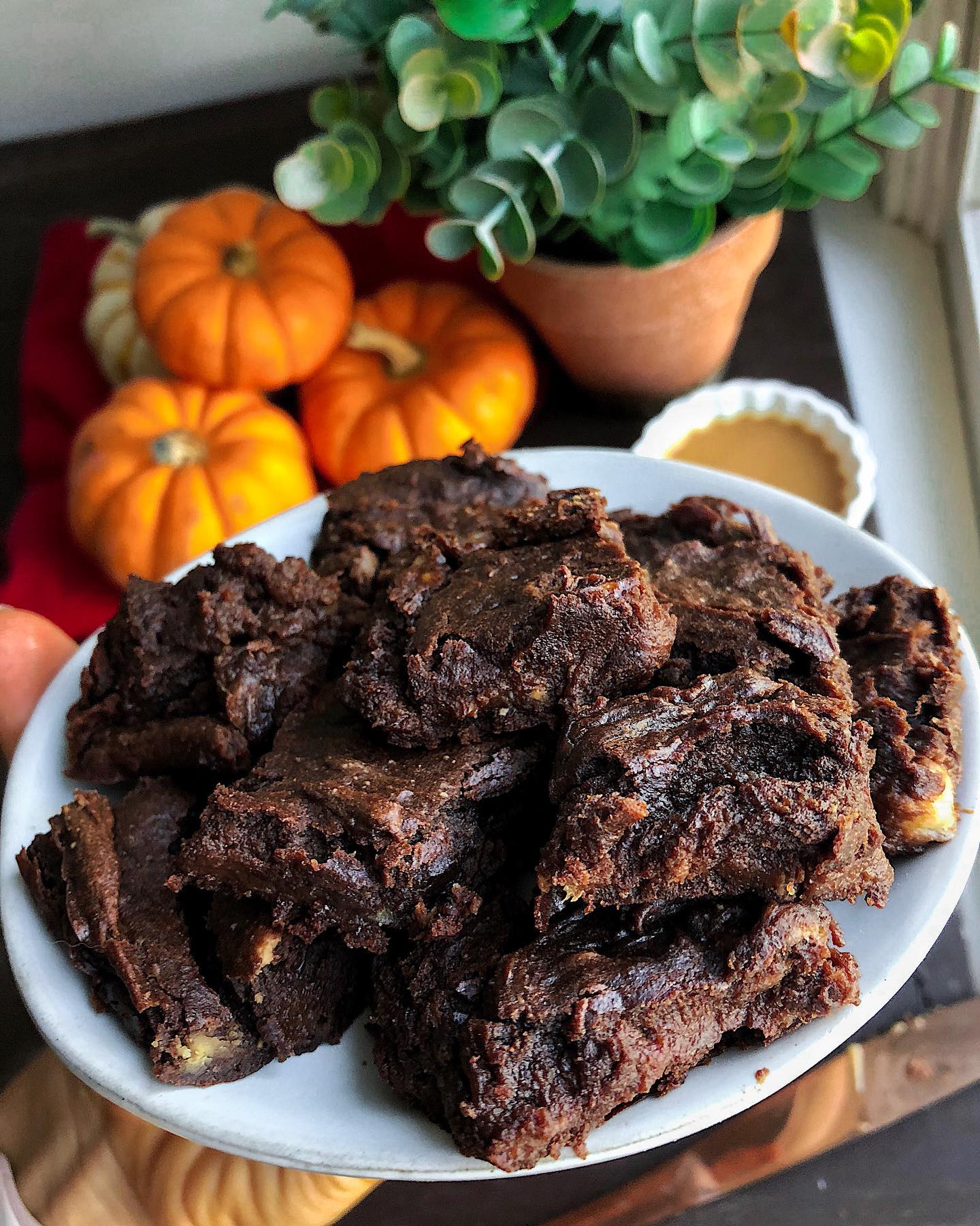 Vegan Gluten-Free Pumpkin Brownie Bites