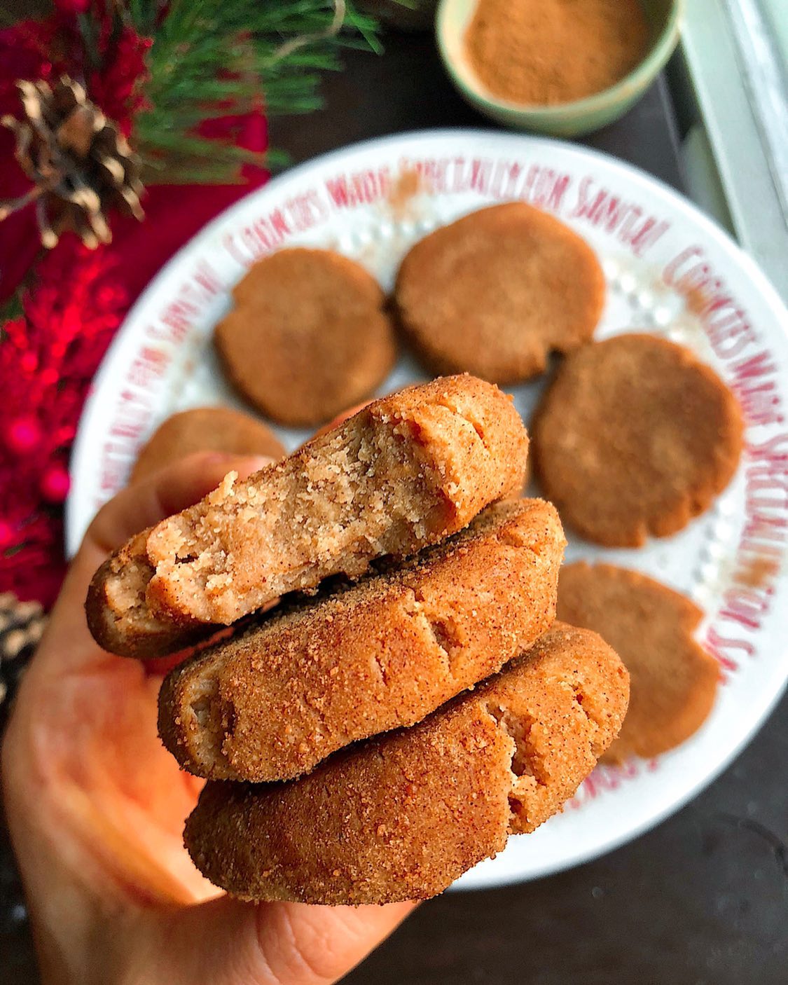 No-Bake Snickerdoodle Cookies