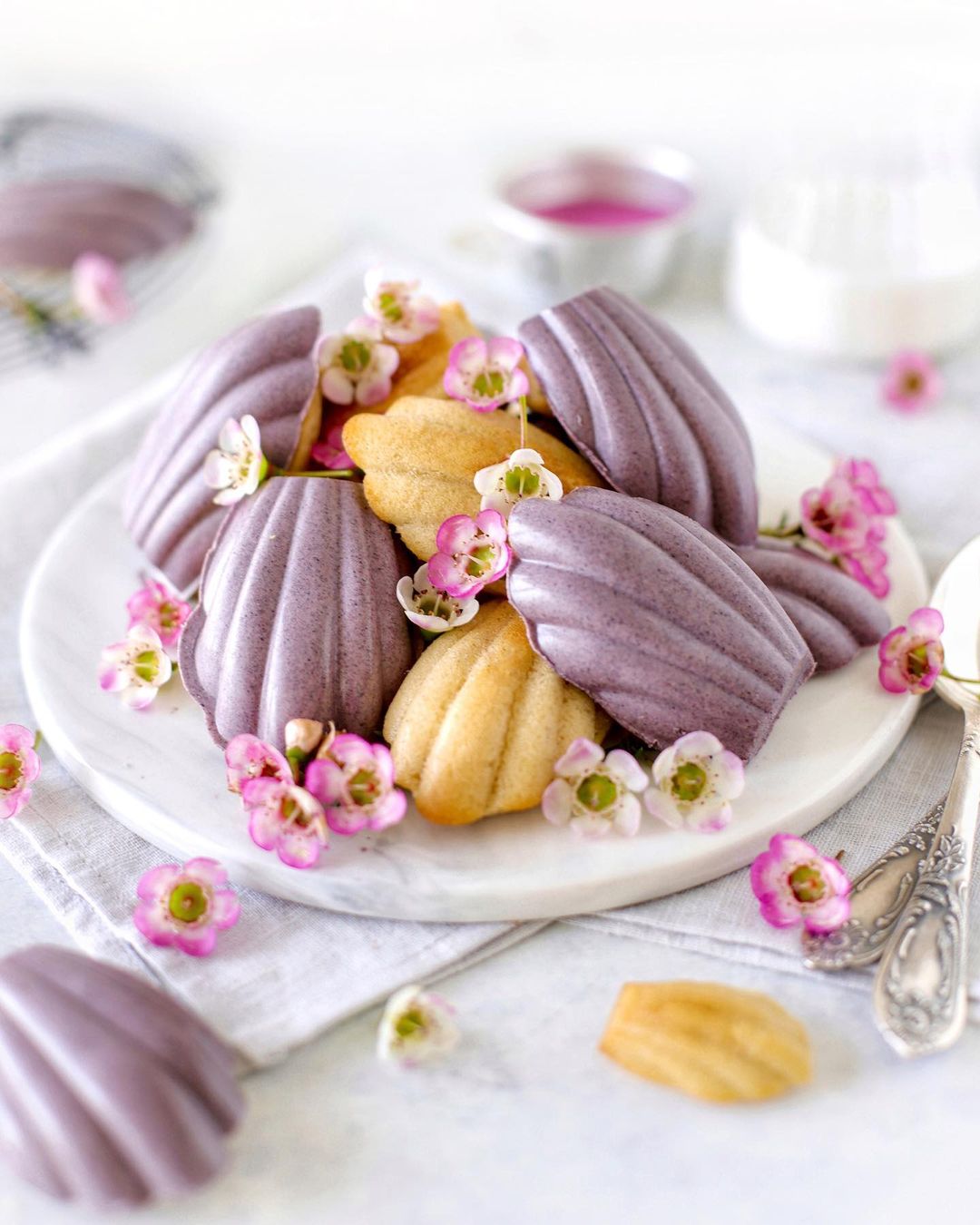 Summer Dreams: My Enchanting Lilac Seashells