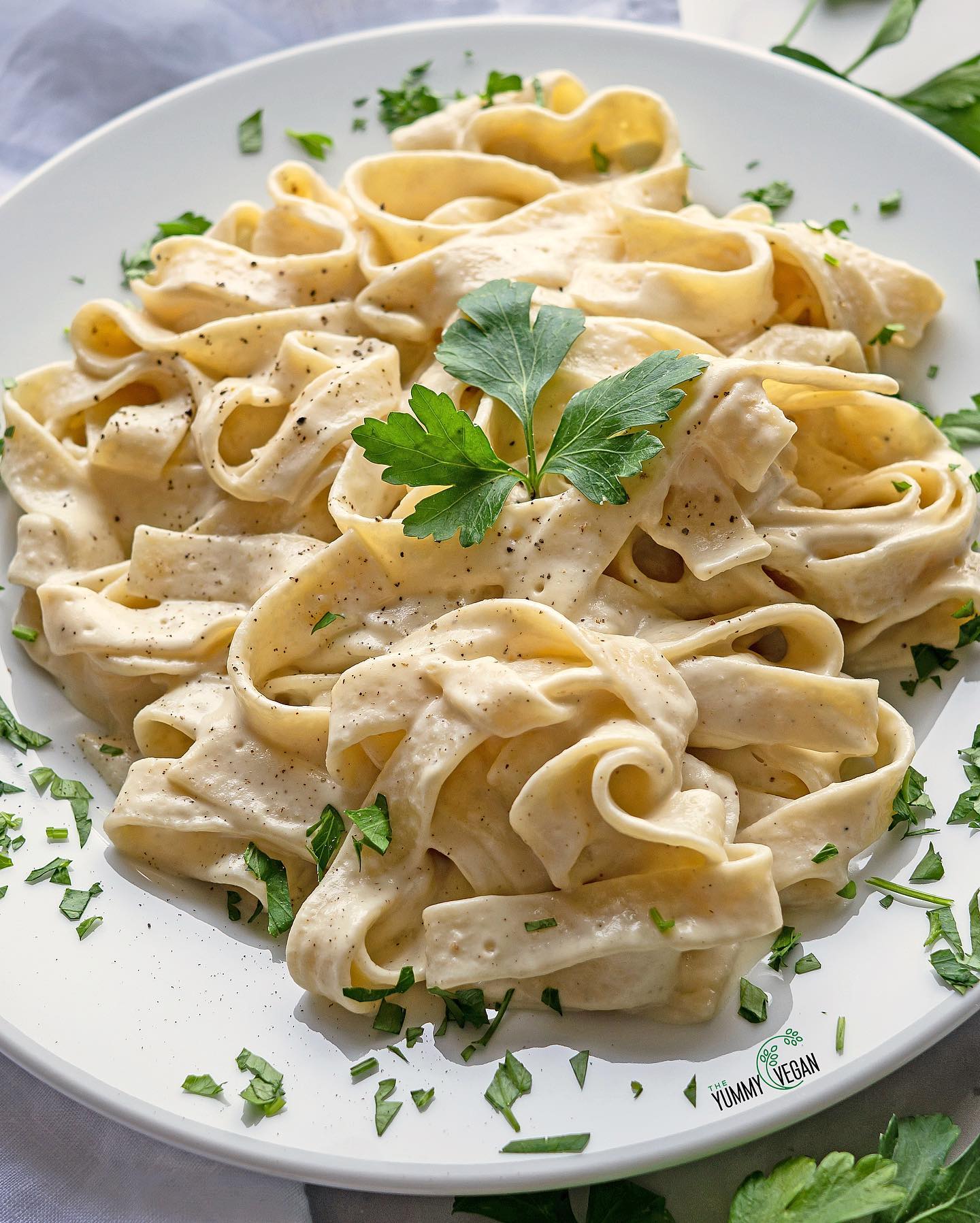 Creamy Vegan Alfredo Pasta