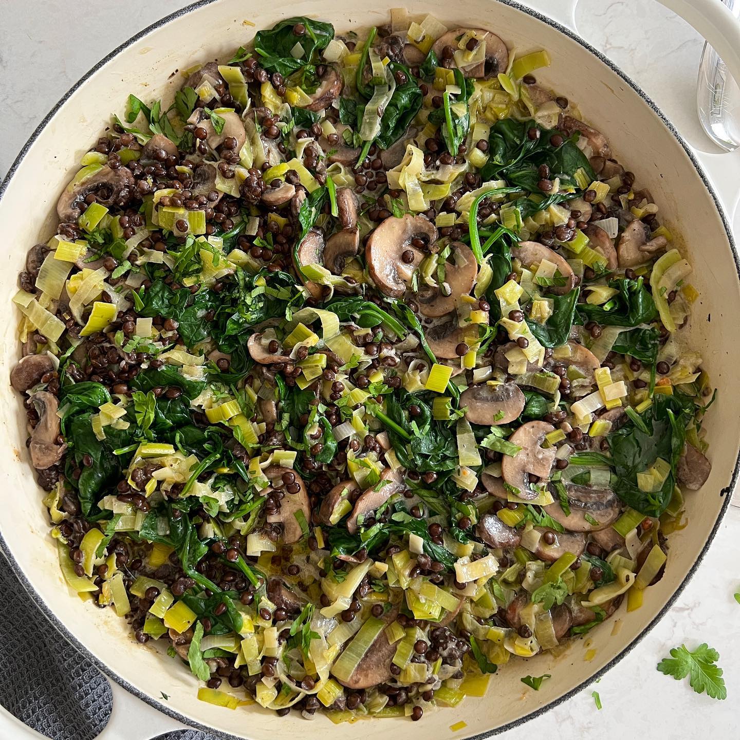 Pan-Seared Sea Bass with Lentil, Leek, and Mushroom Fricassee