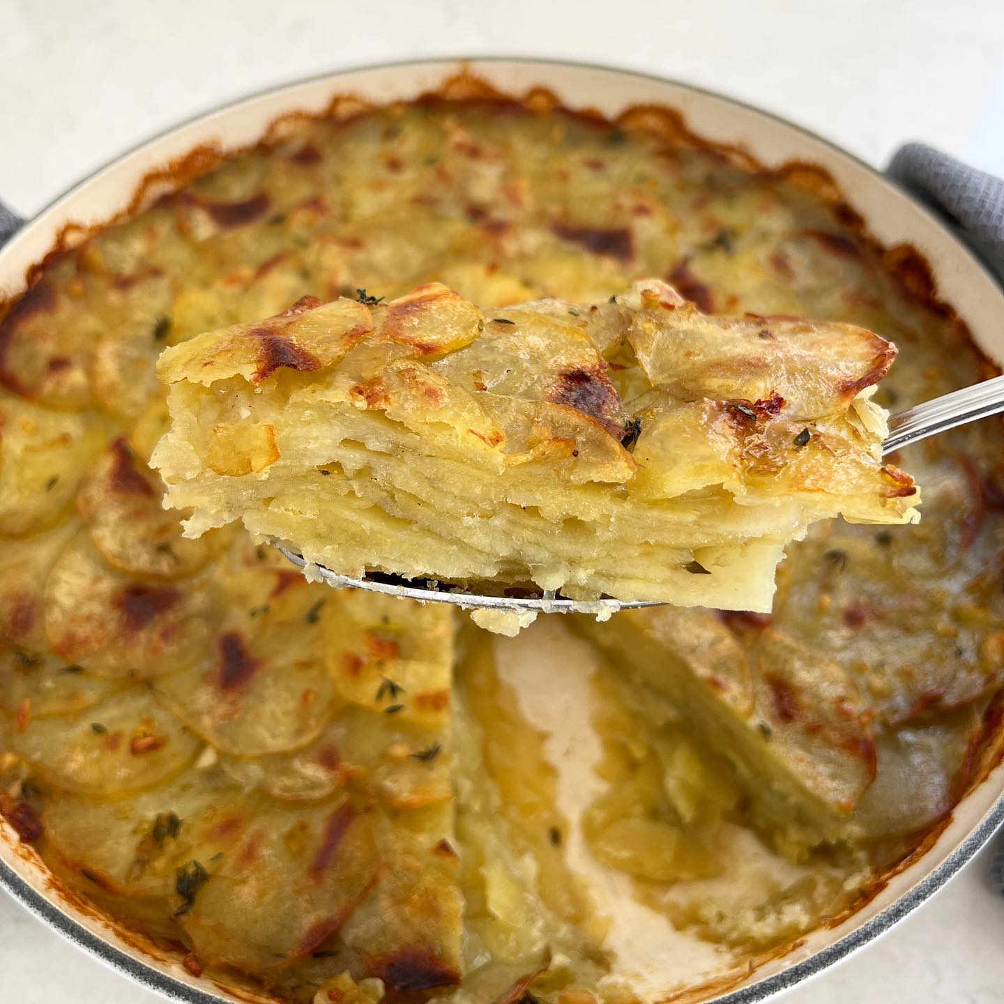 Creamy Potato Gratin with Garlic and Thyme