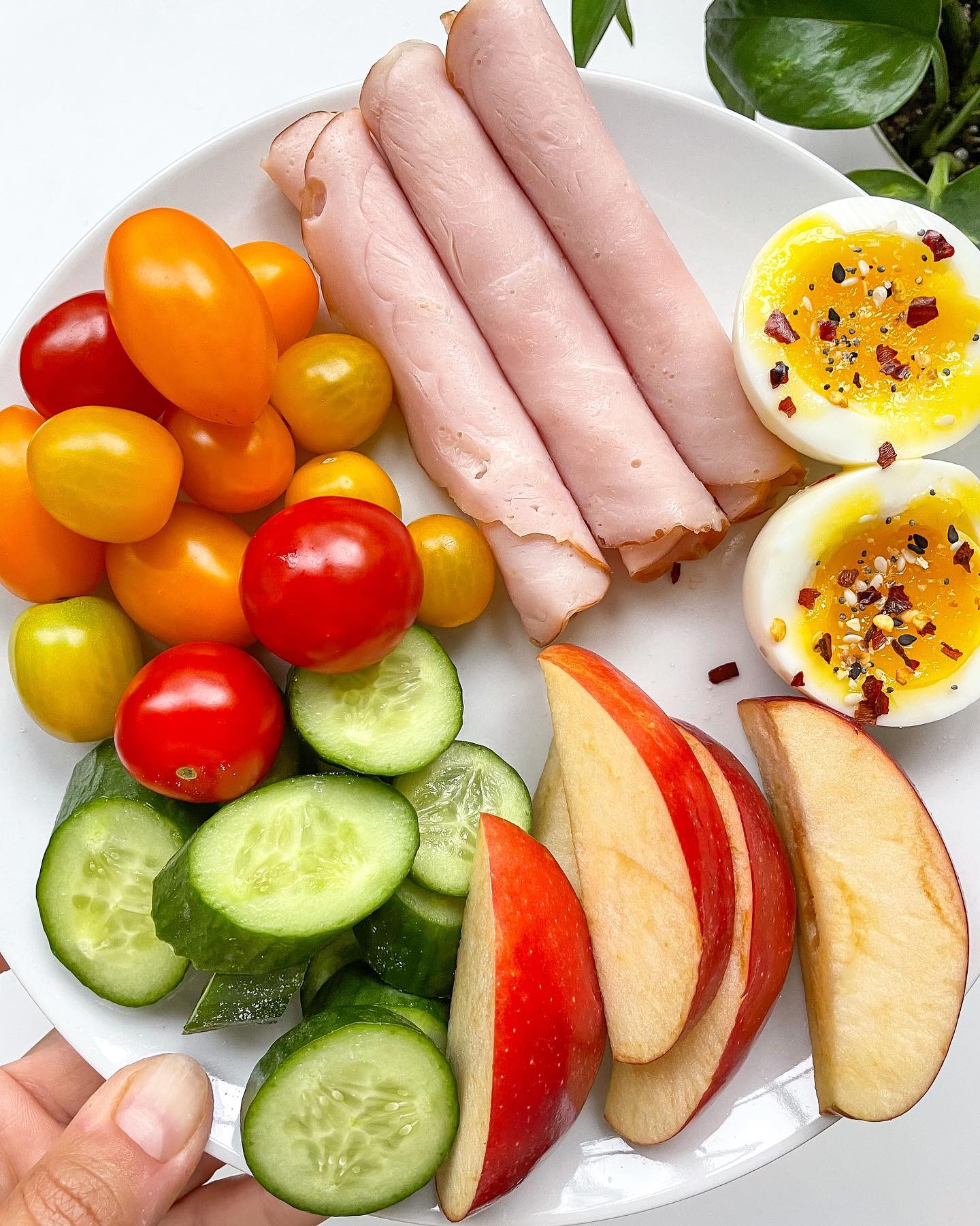 Low Carb Meals