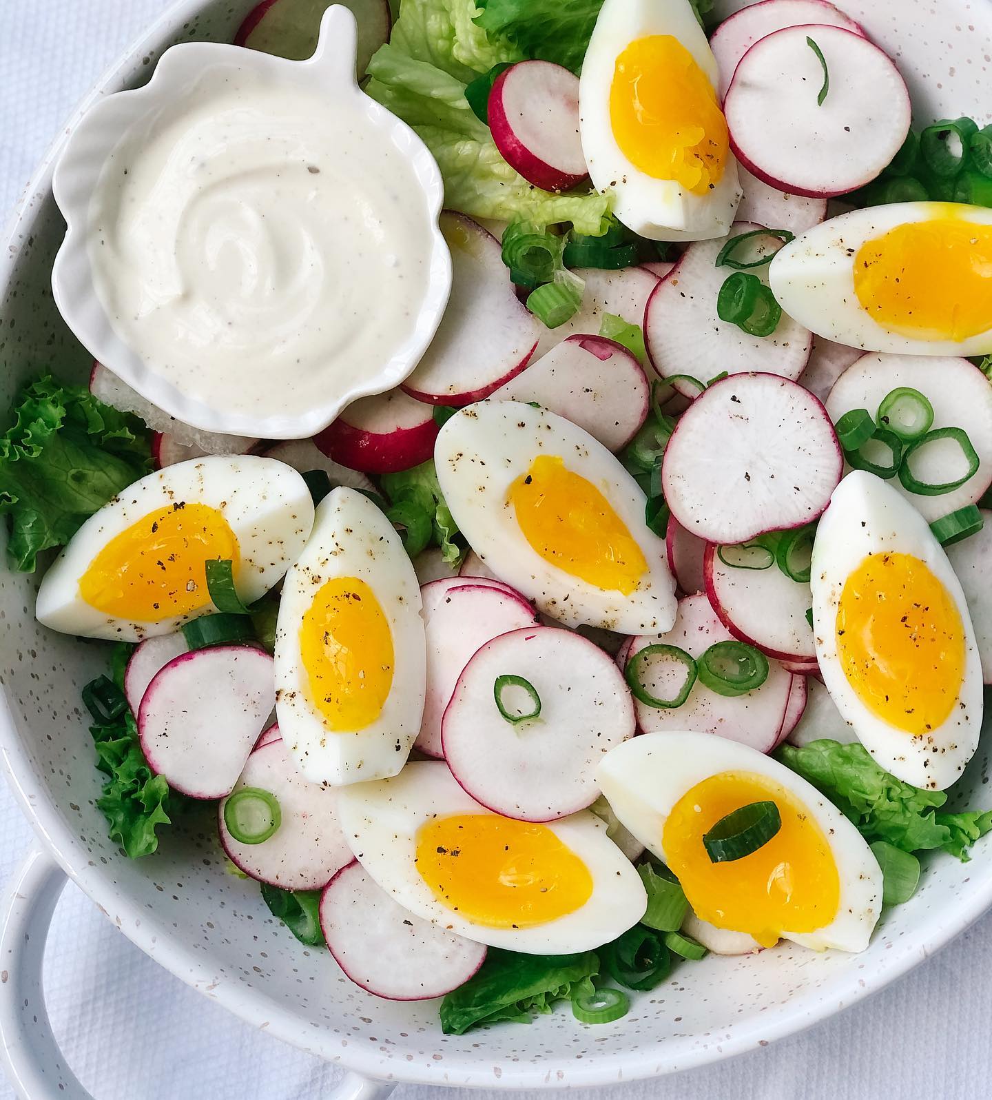 Egg, Radish, and Green Onion Salad
