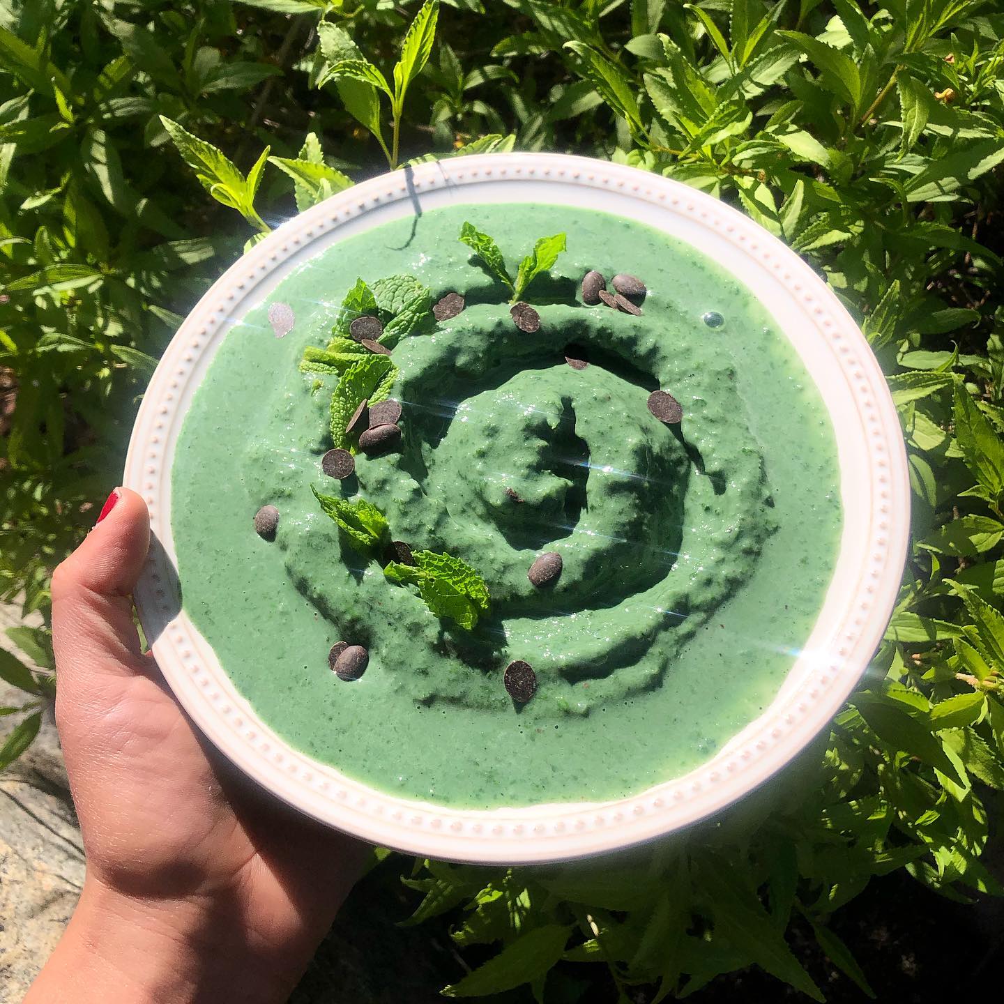 Mint Chip Spirulina Smoothie Bowl
