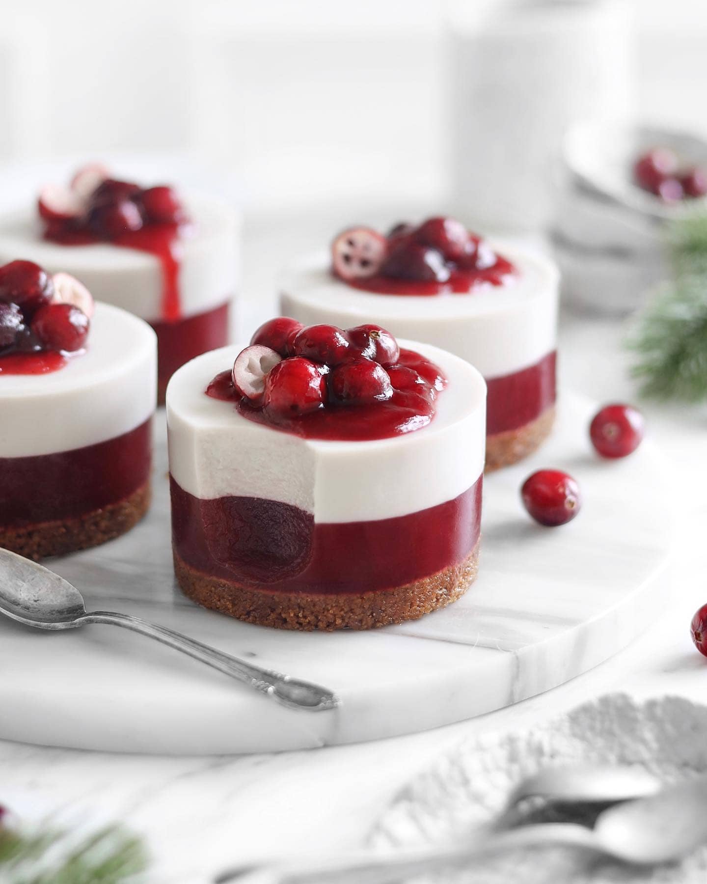 Cranberry Cake with Coconut Panna Cotta