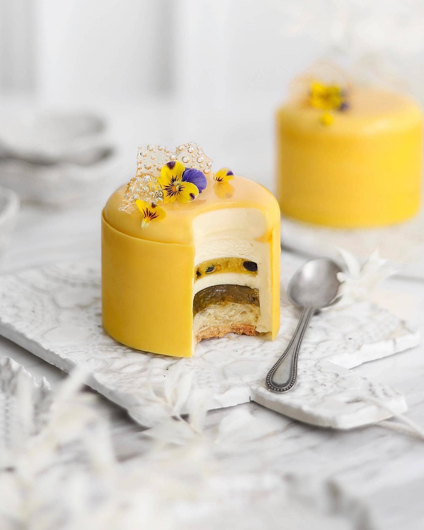 Vegan Passion Fruit Entremet Dessert