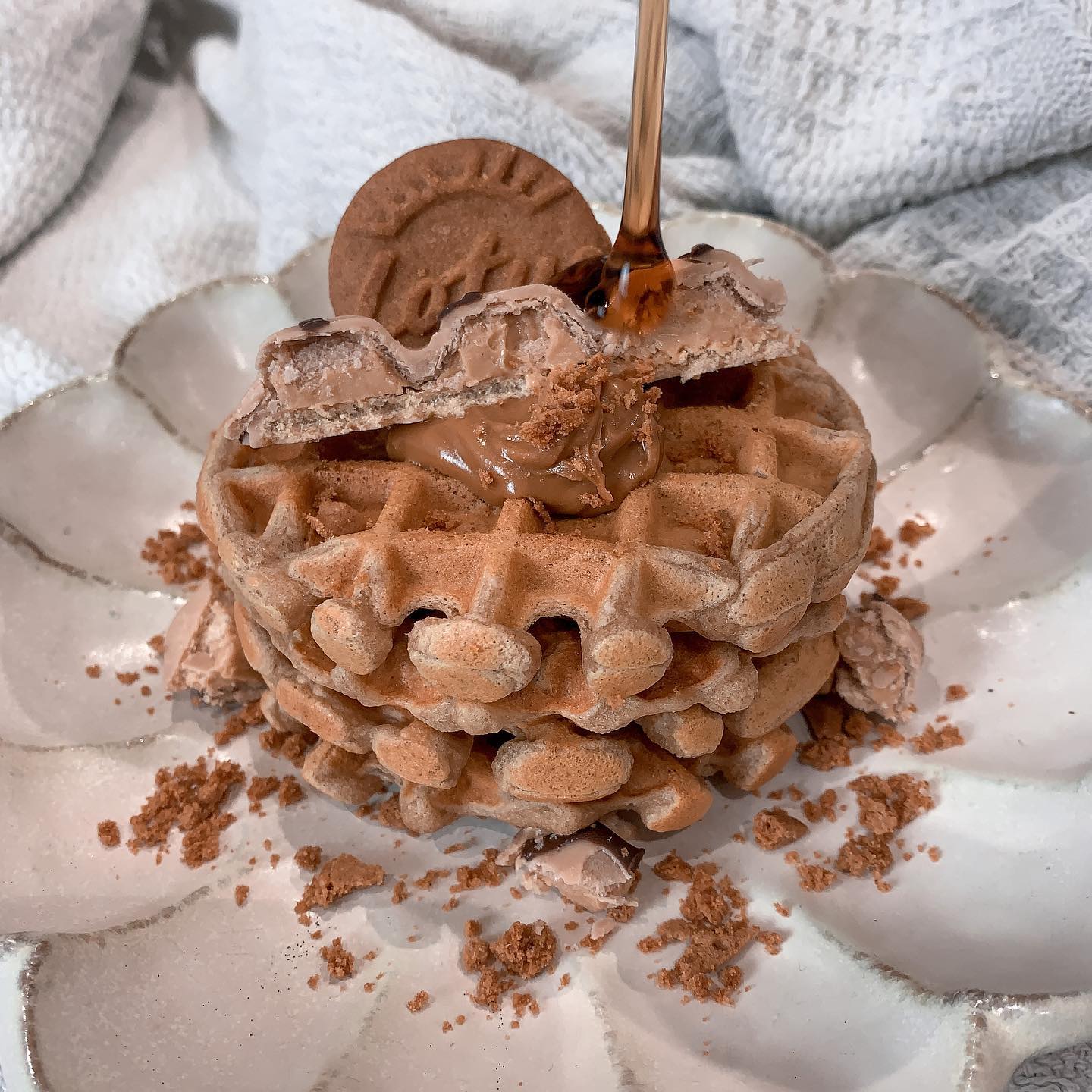 Delicious Biscoff Protein Waffles