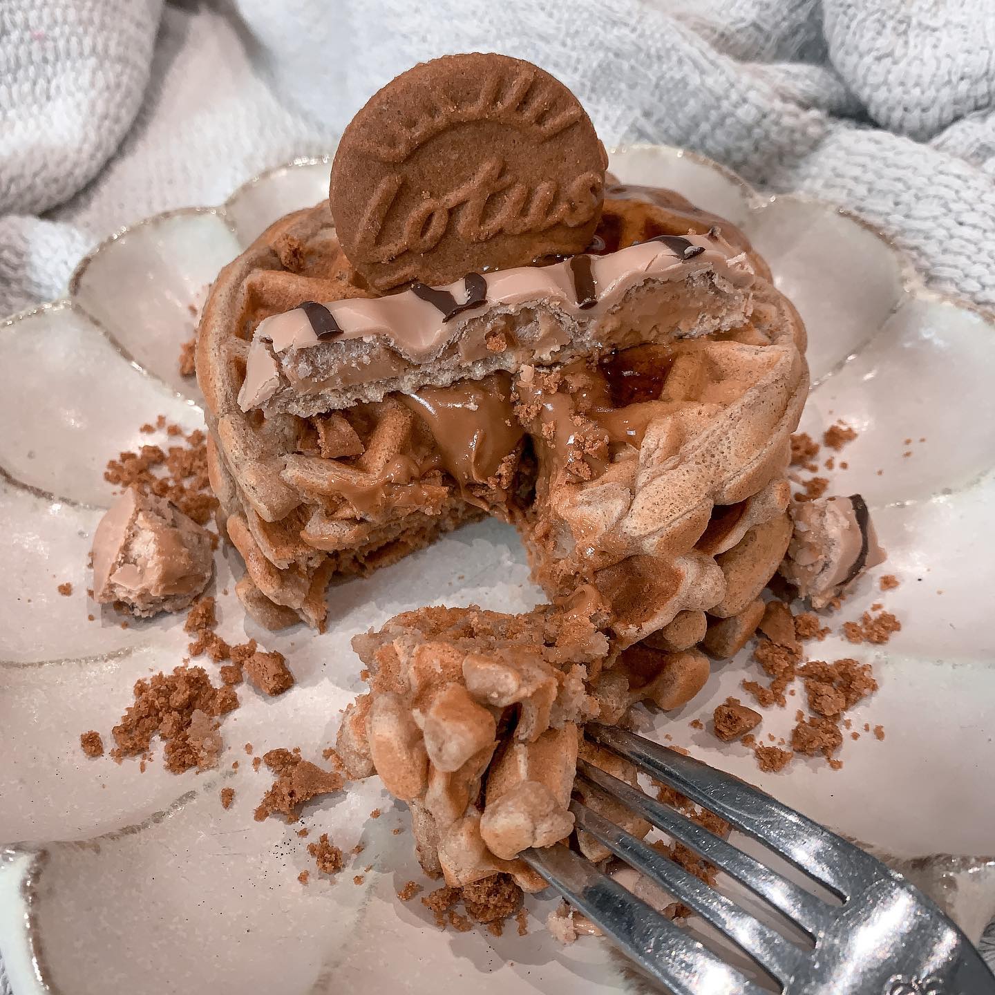 Delicious Biscoff Protein Waffles