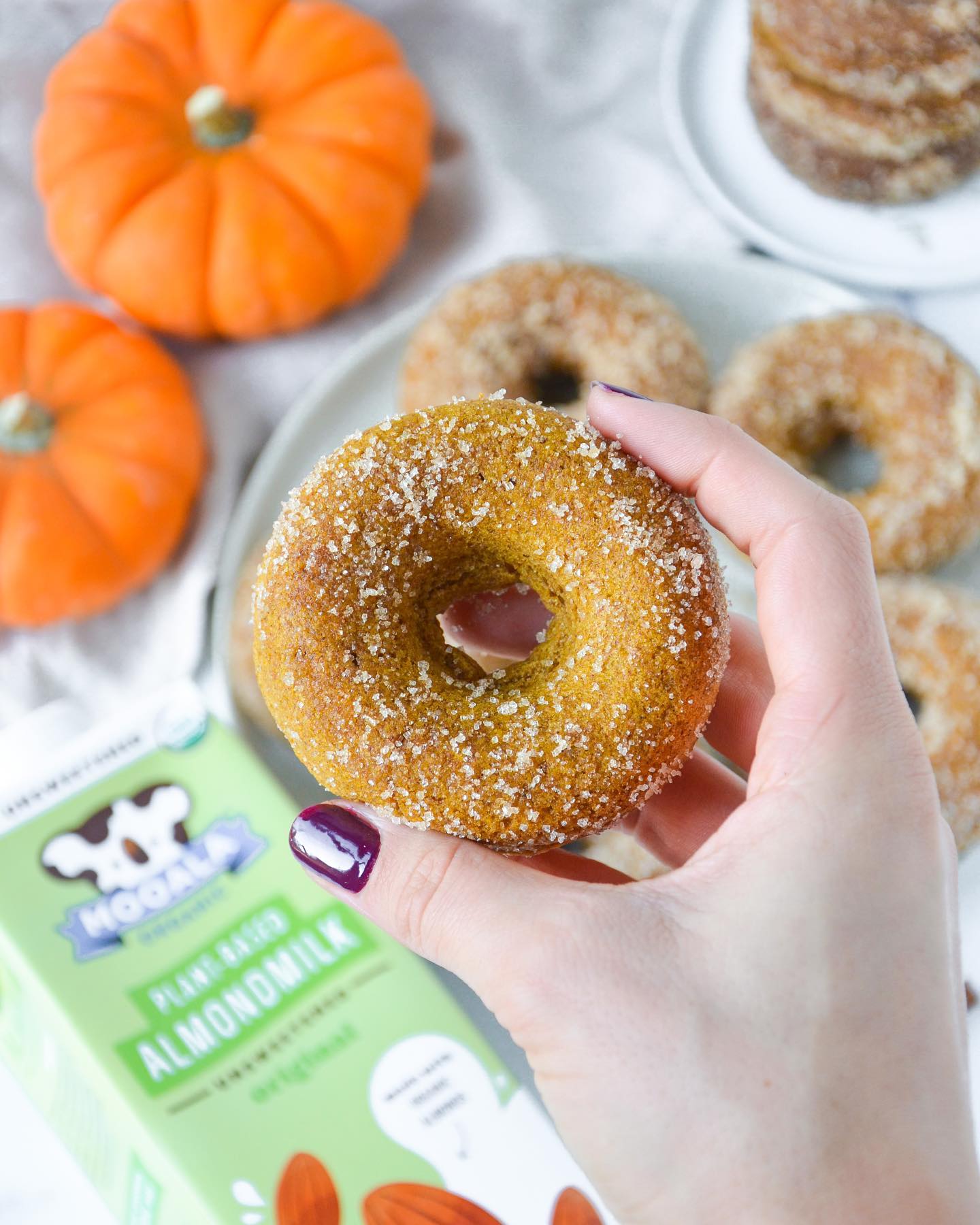 Irresistible Vegan Pumpkin Donuts