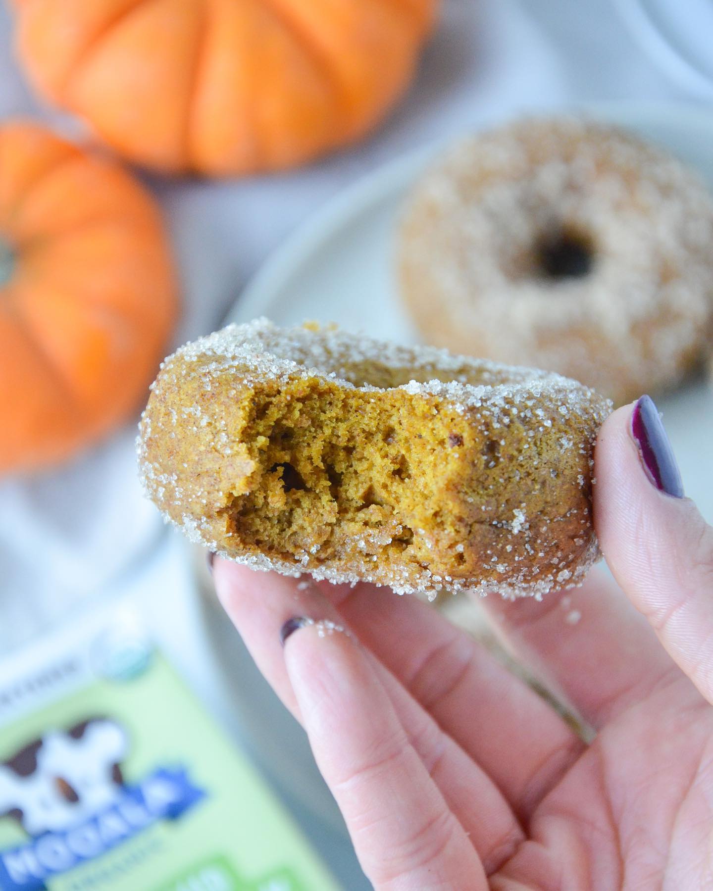 Irresistible Vegan Pumpkin Donuts