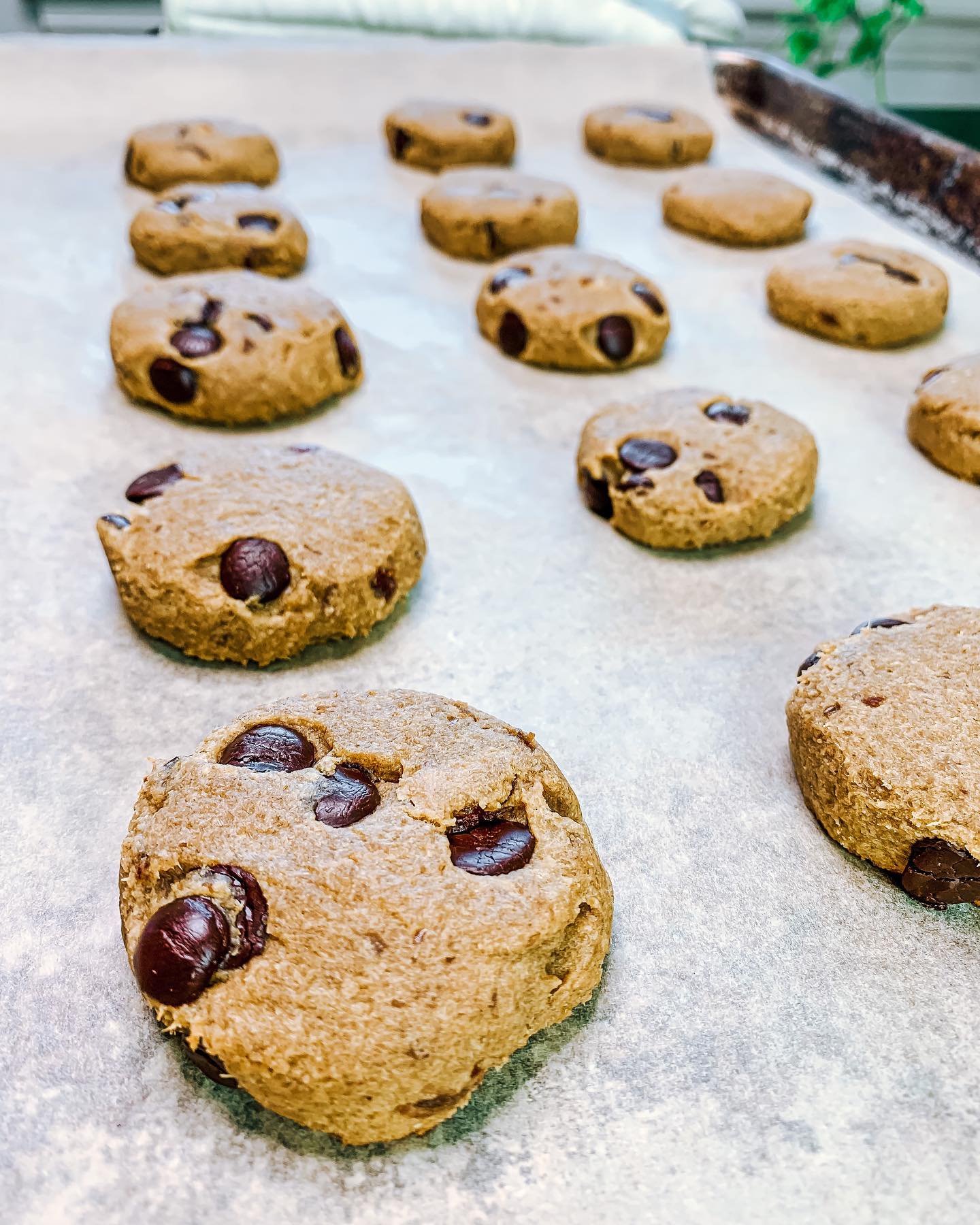 Guilt-Free Peanut Butter Chocolate Chip Cookies