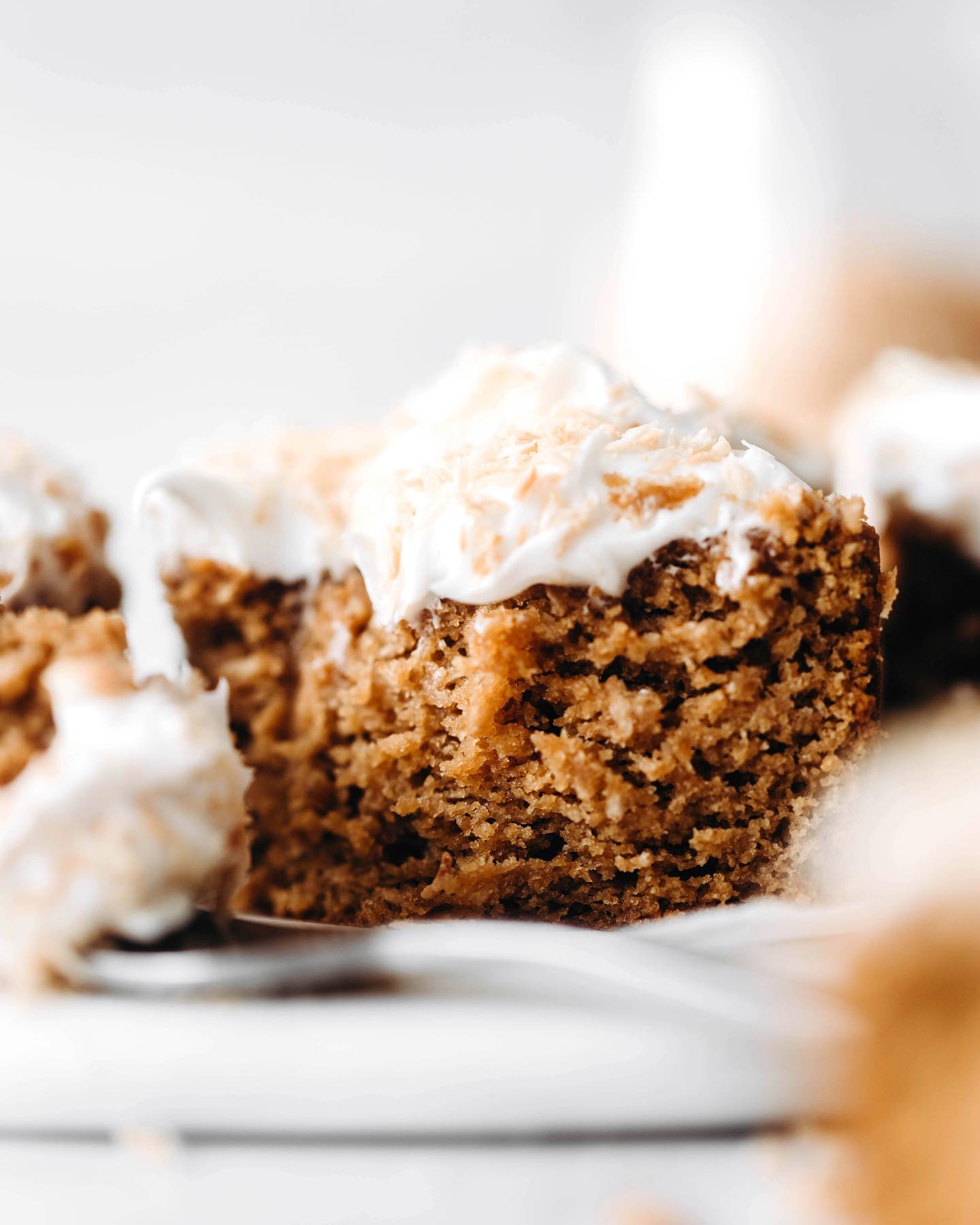 Toasted Coconut Snack Cake