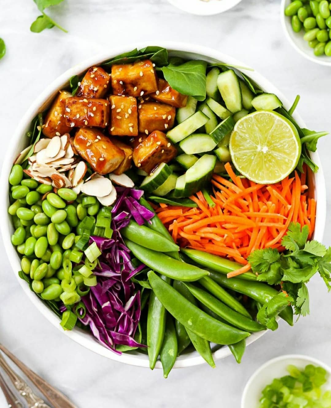 Sesame Tofu Salad with Ginger-Soy Dressing