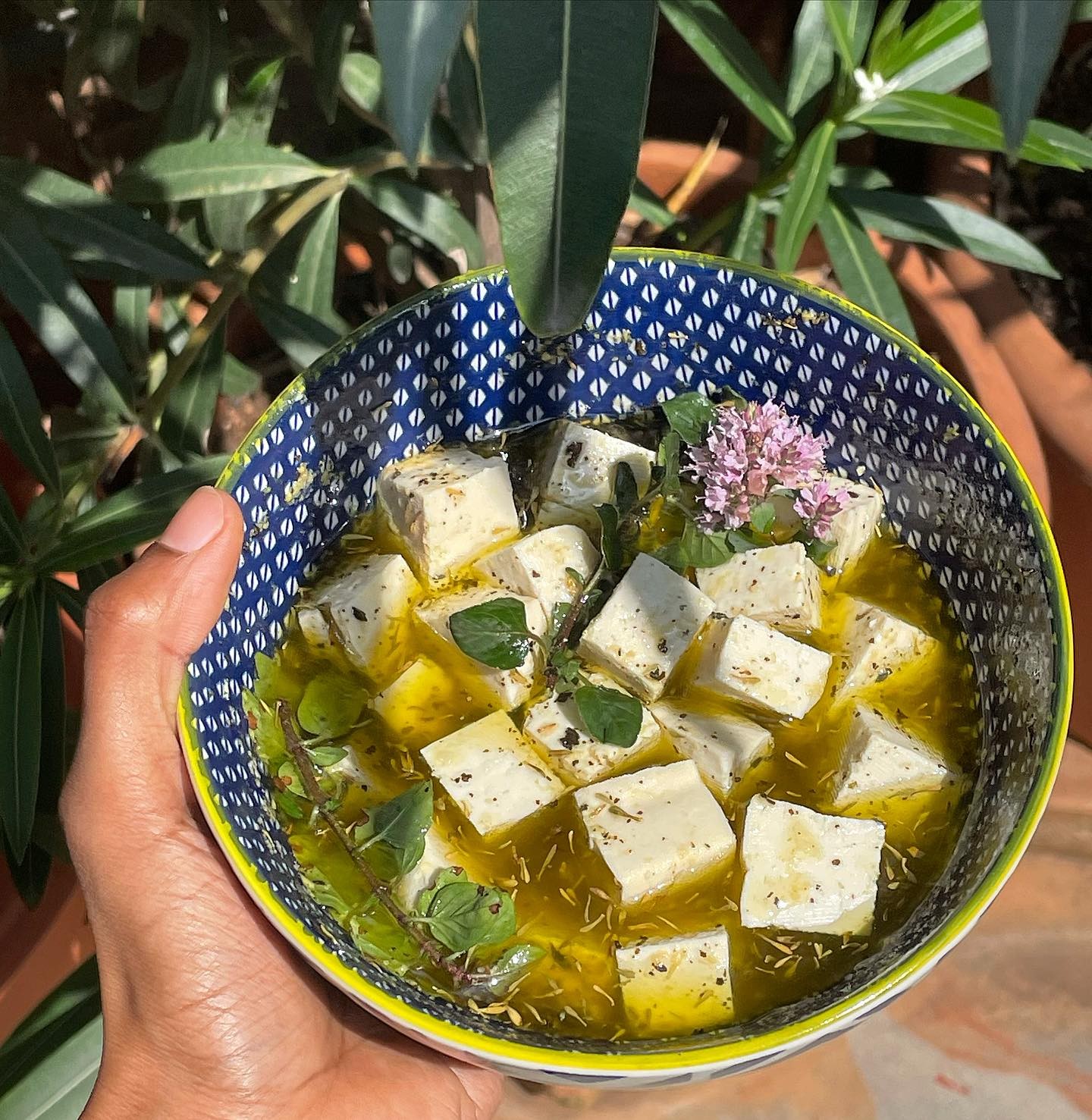 Quick and Cheesy Marinated Tofu