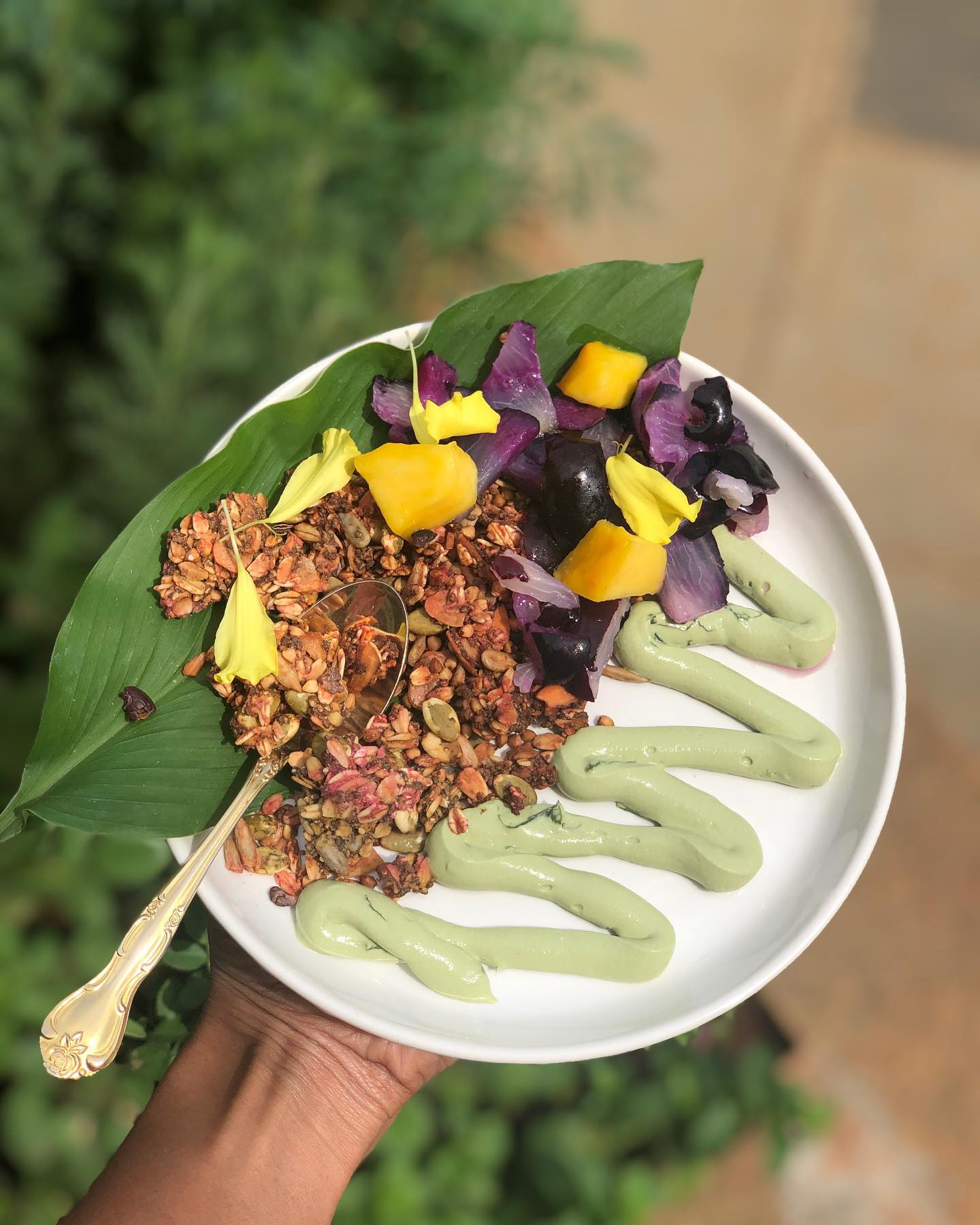 Beetroot Pulp Granola-Matcha Yogurt Bowl with Java Plums