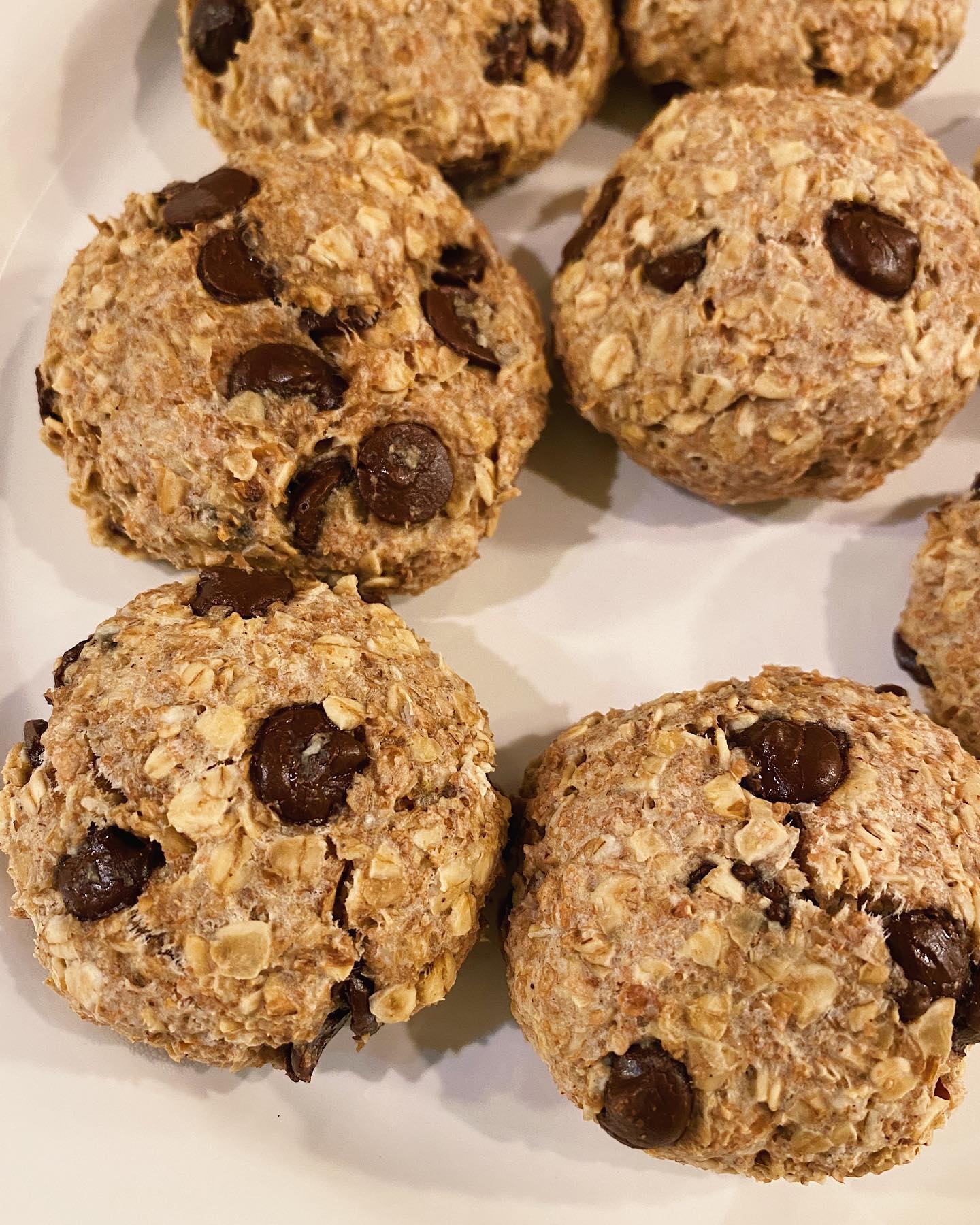 Oatmeal Choco-Chip Cookies