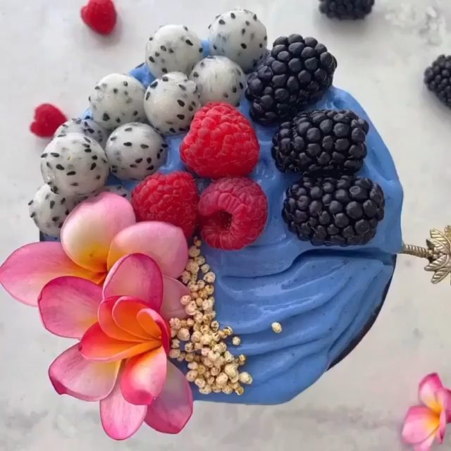 Tasty Blue Bowls