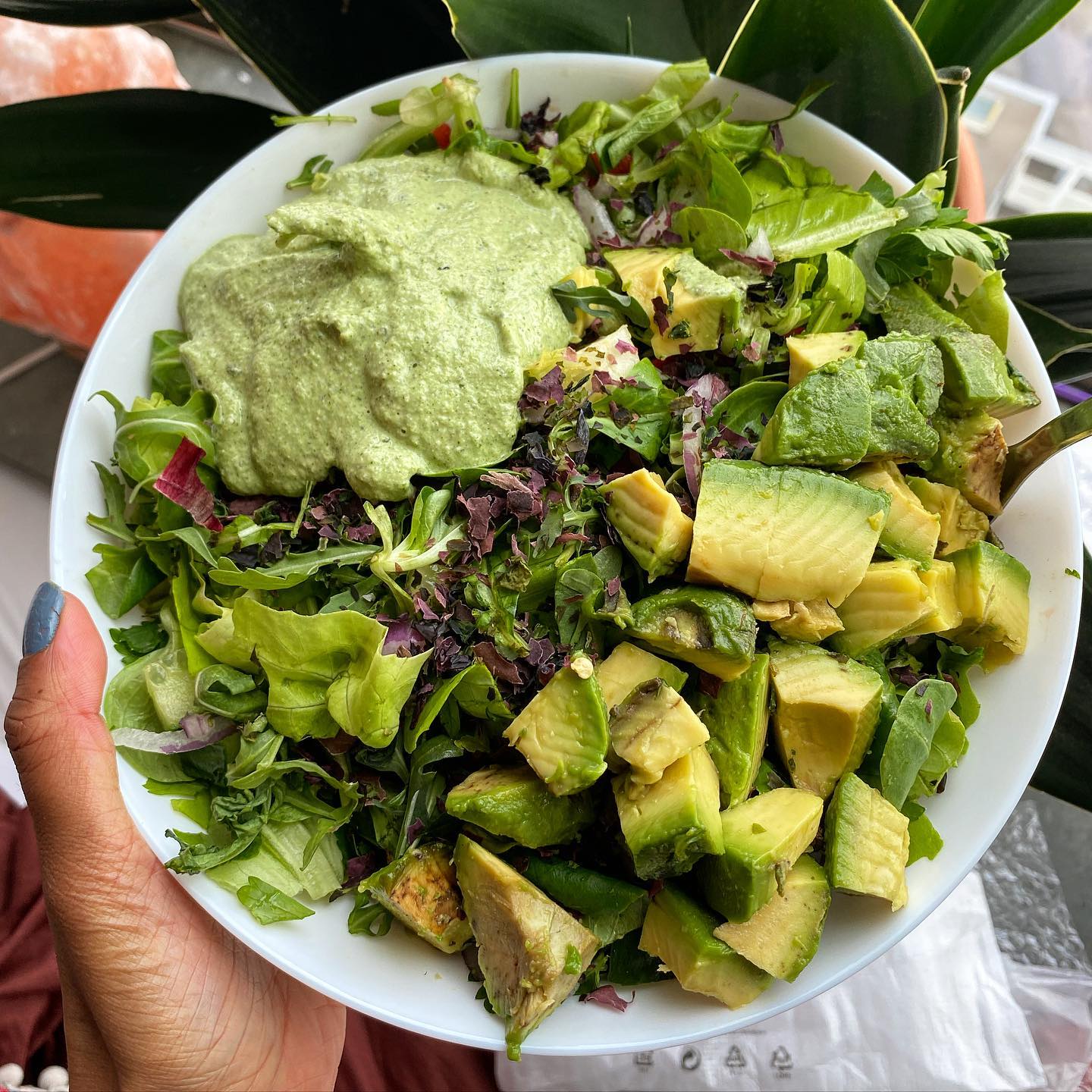 Electric Layered Salad with Creamy Dressing