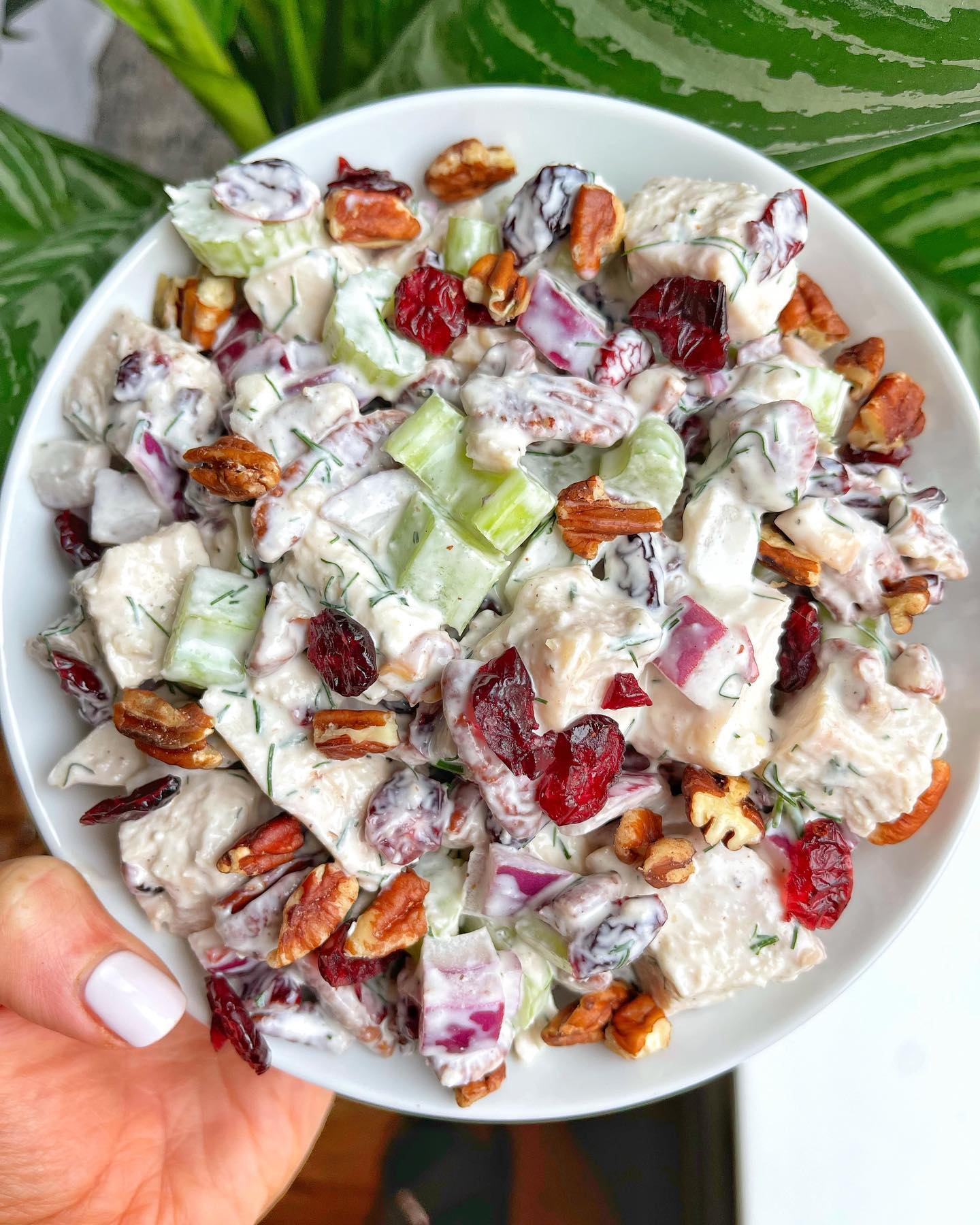 Creamy Cranberry Pecan Chicken Salad with Fage Greek Yogurt Dressing