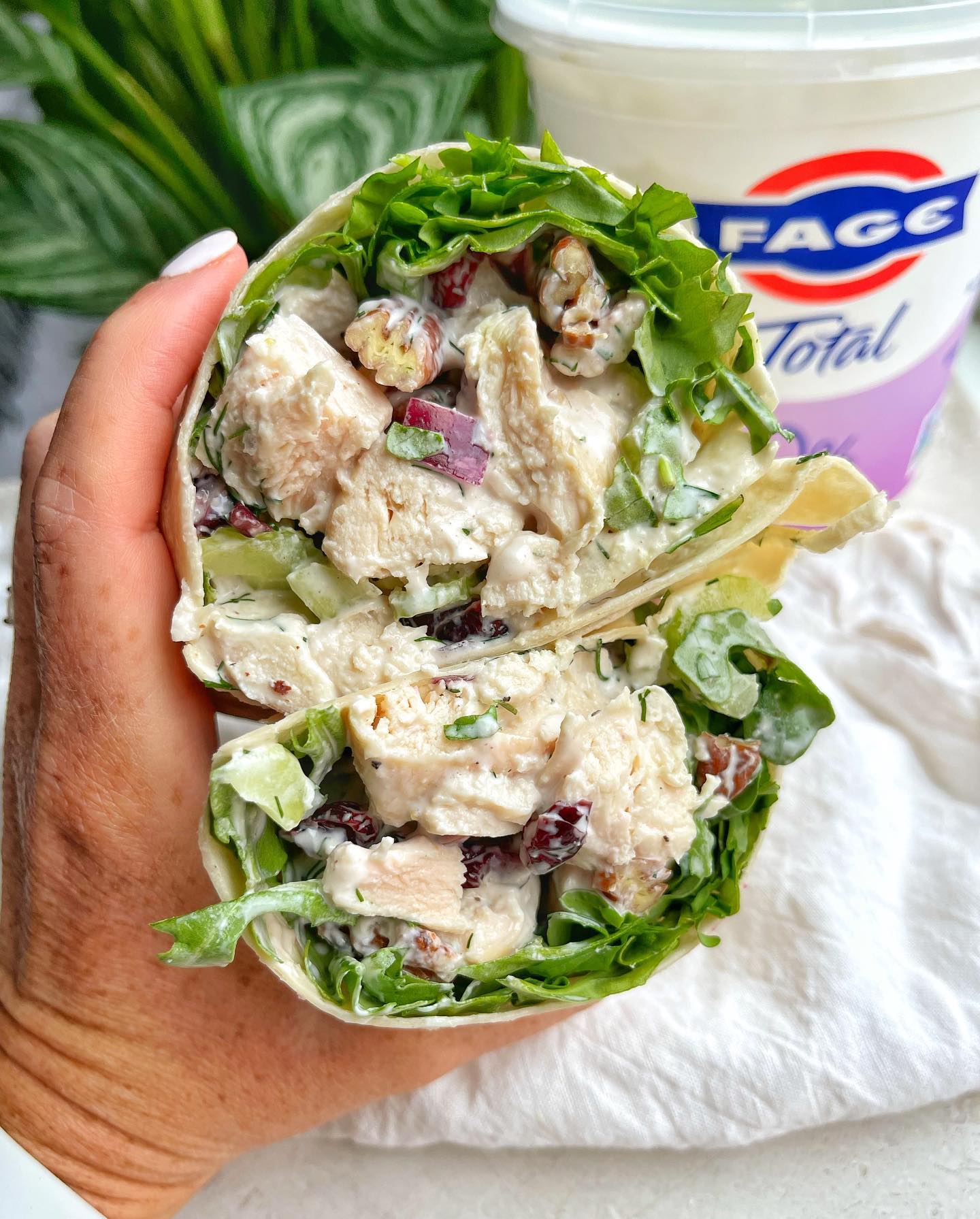 Creamy Cranberry Pecan Chicken Salad with Fage Greek Yogurt Dressing