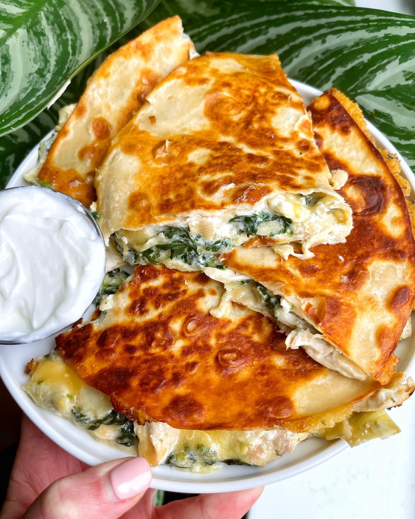 Cheesy Spinach Artichoke Chicken Quesadilla