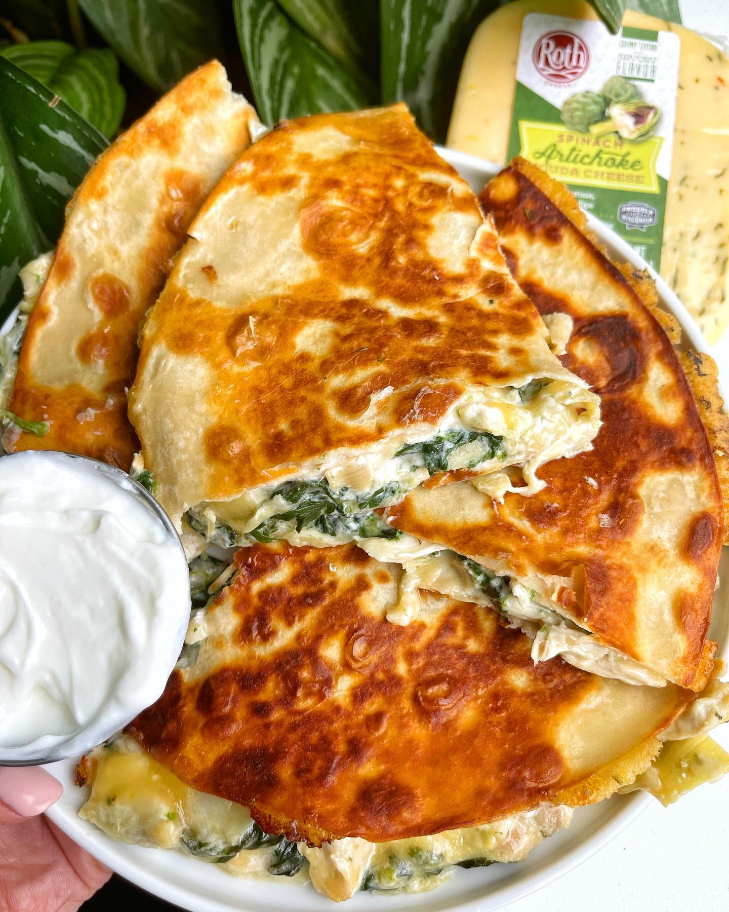 Cheesy Spinach Artichoke Chicken Quesadilla