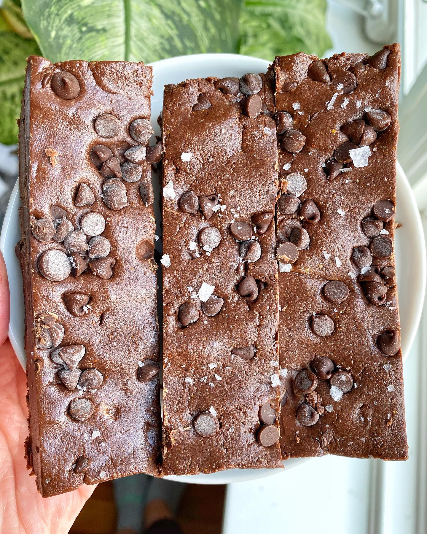 Thin Mint Copycat Protein Bars