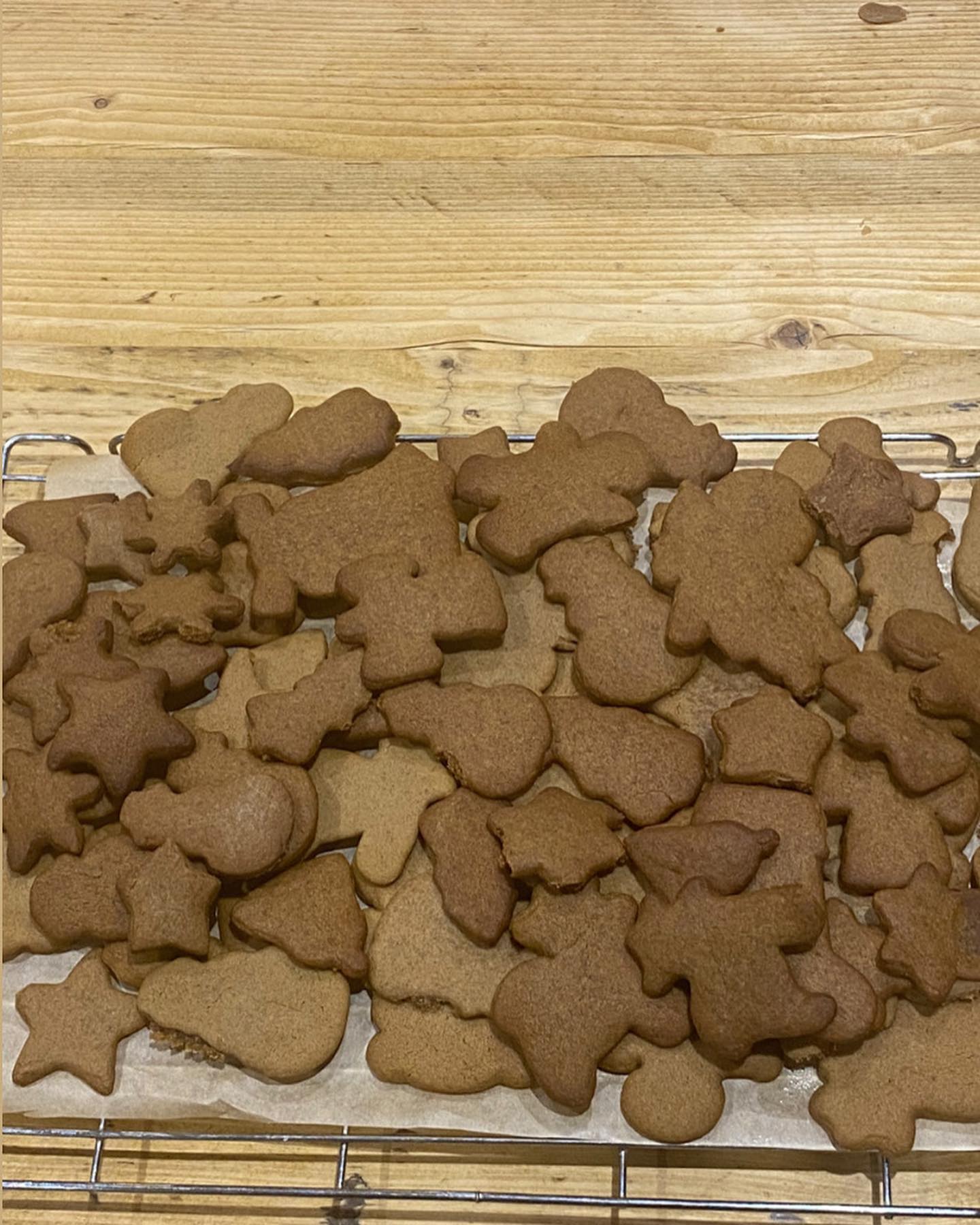 Gingerbread Fun