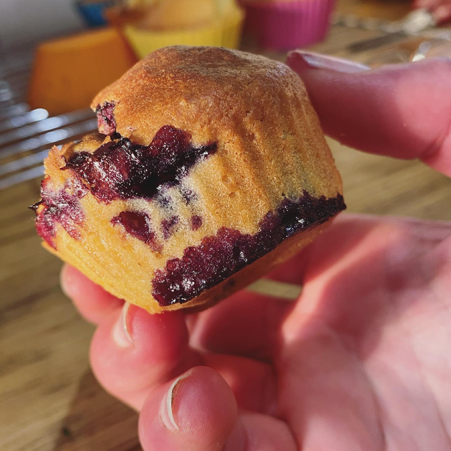 Gluten-Free Blueberry Muffins