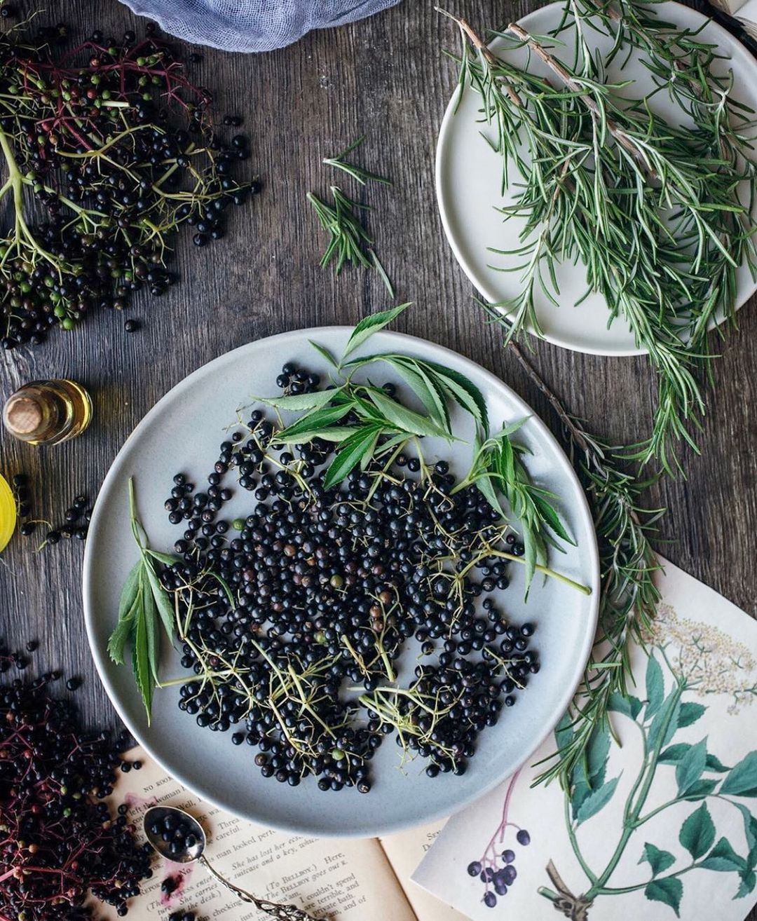 Worried About Keeping Well, Keep Calm, and Make Some Elderberry Syrup