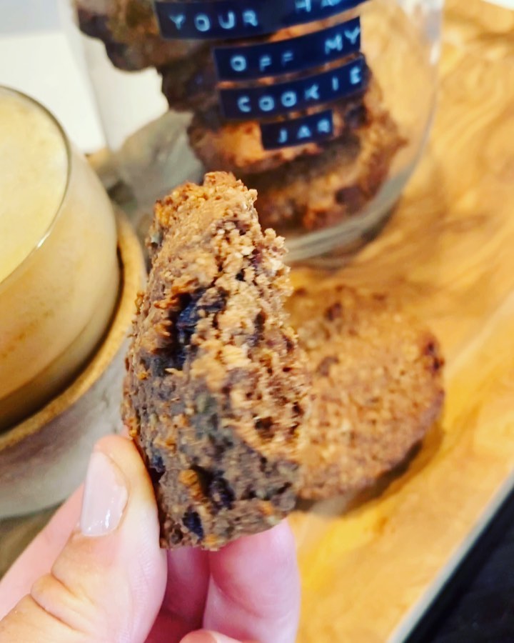 Plant Based Chocolate Protein Cookies