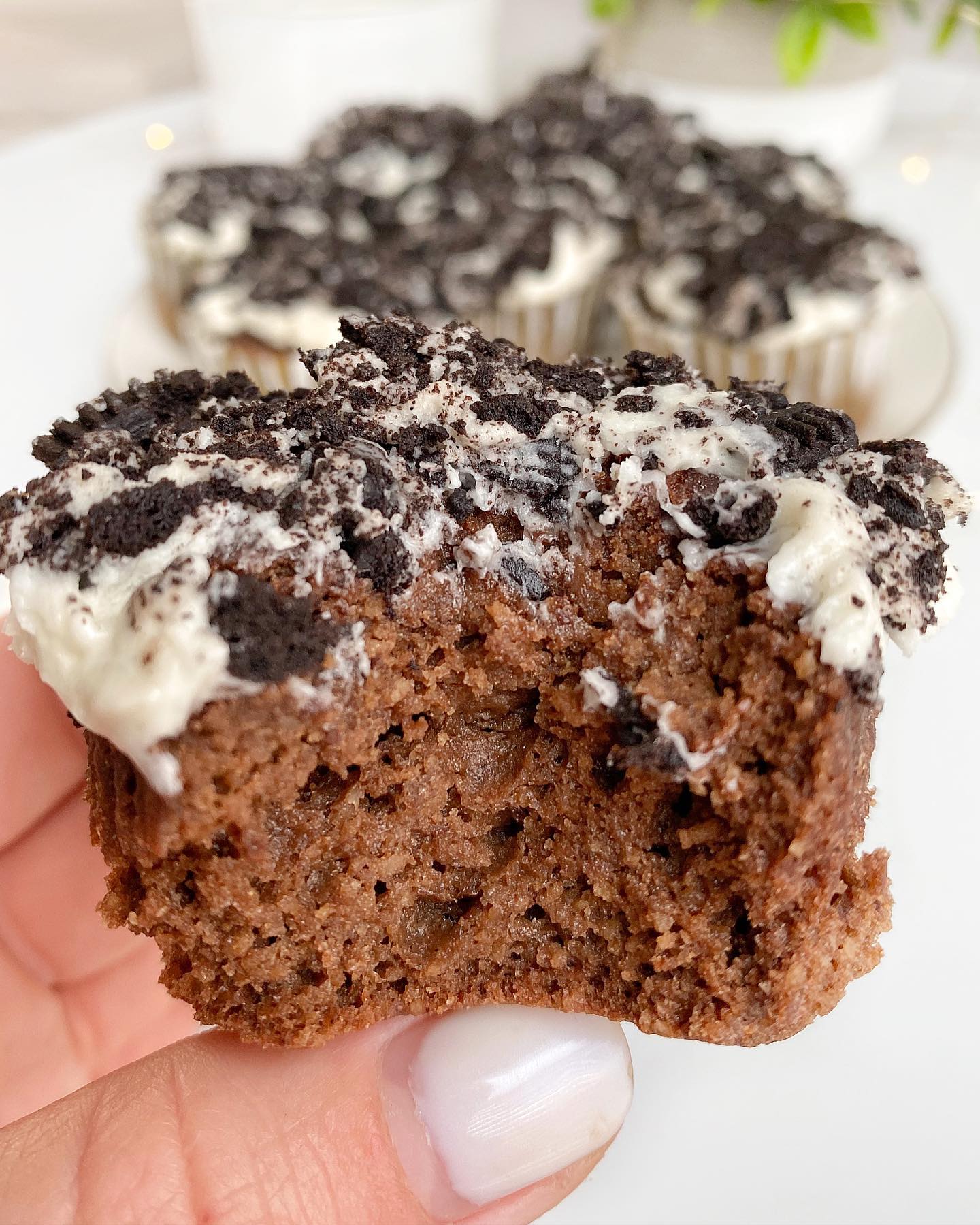 Double Chocolate Cupcakes with Vanilla Frosting and Gluten-Free Cookies