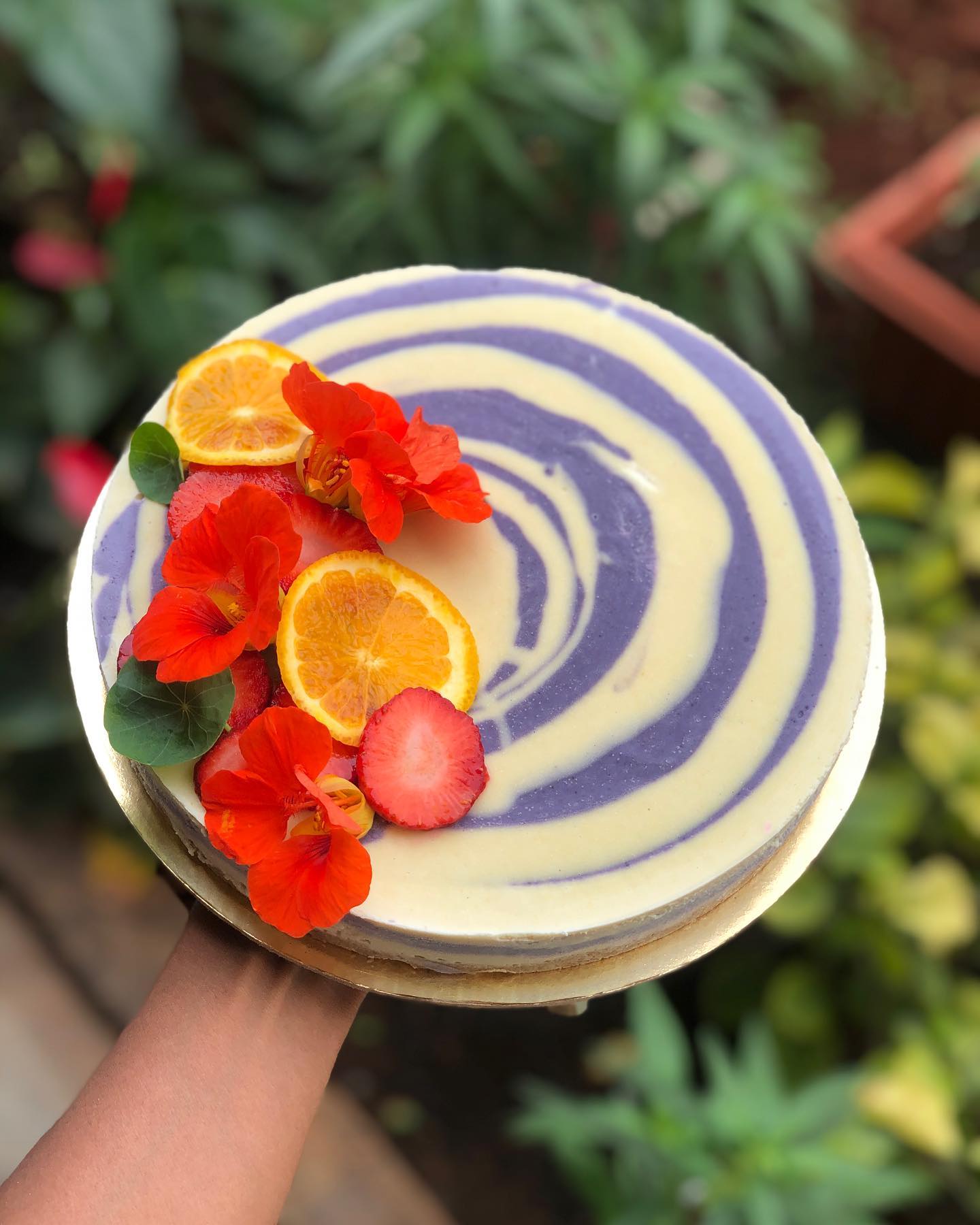 Vegan Almond Crust Cheesecake