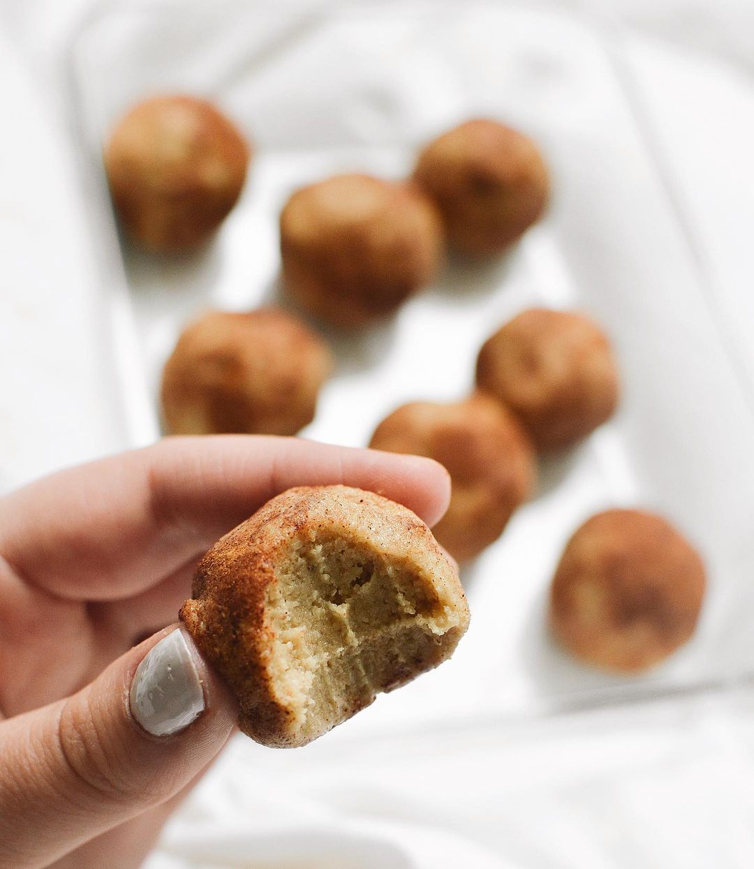 Snickerdoodle Protein Bites