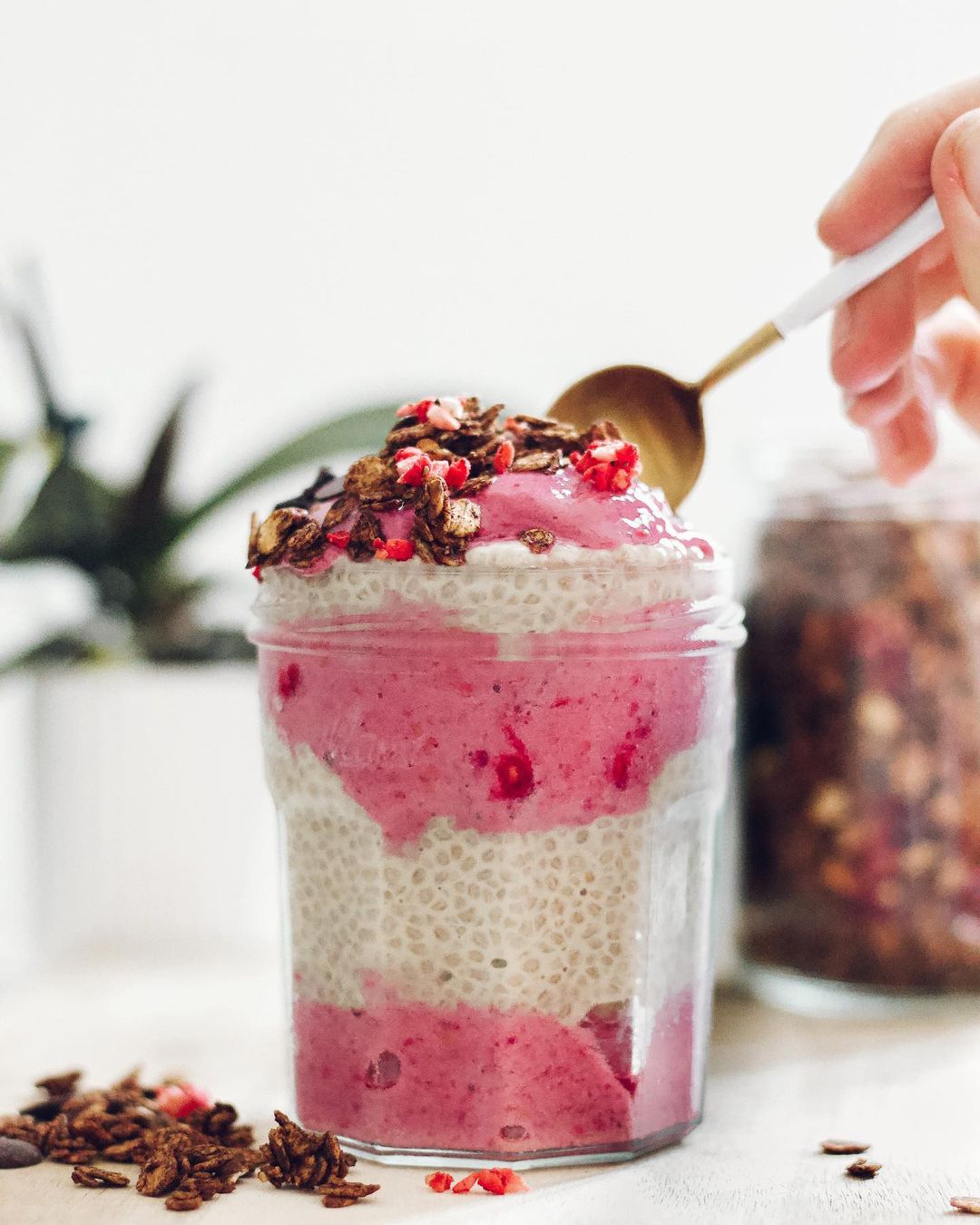 Vanilla Chia Pudding