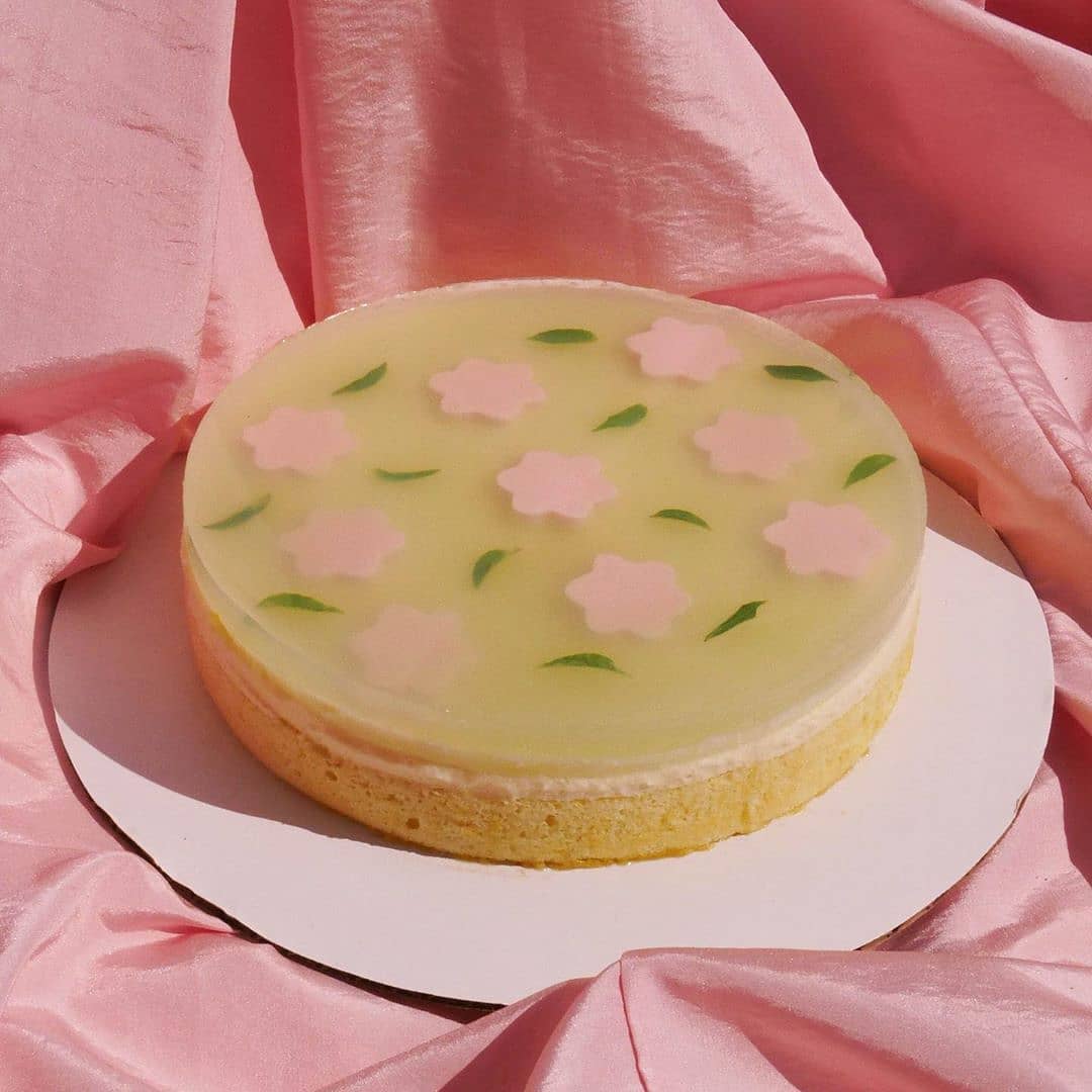 Coconut, Lime, and Thai Basil Cake Made of Living Jin Agar-Agar