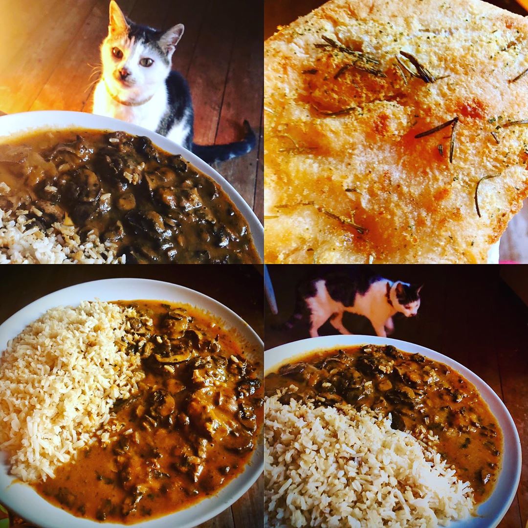 Mushroom Stroganoff & Rice, Garlic & Rosemary Focaccia