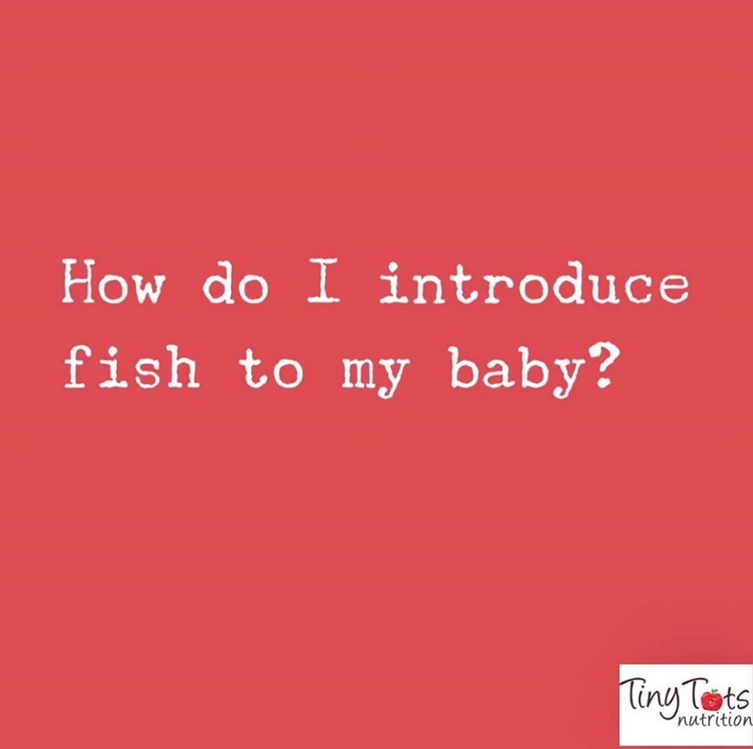 Introducing Fish to Your Baby