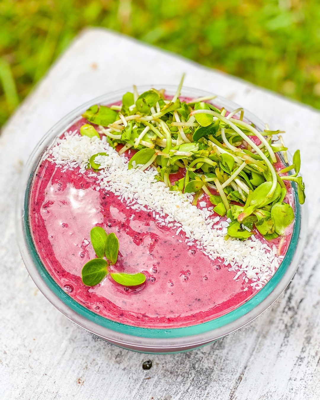 Sunflower Microgreens